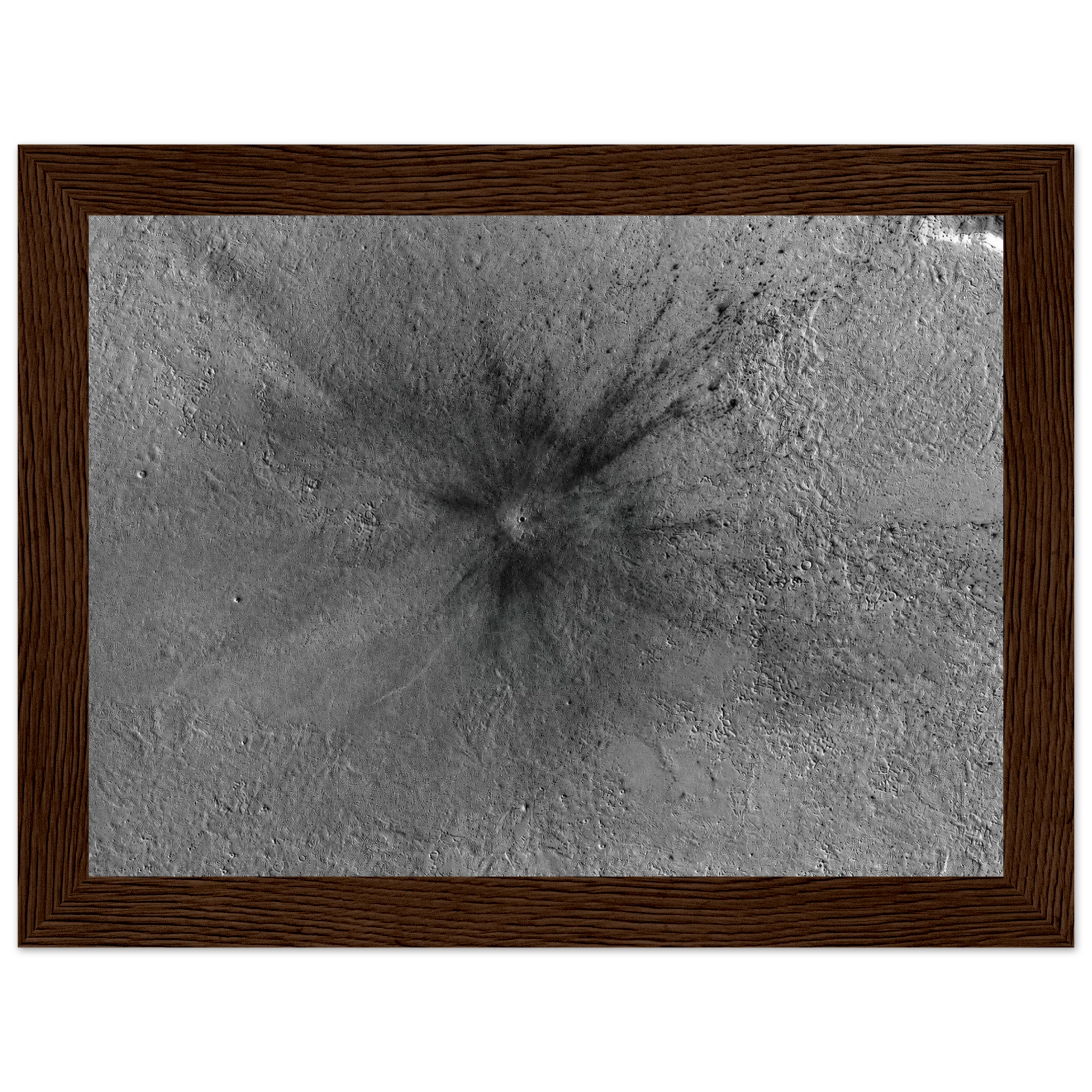 2b178bad-0ed4-48b8-b085-042d43118452