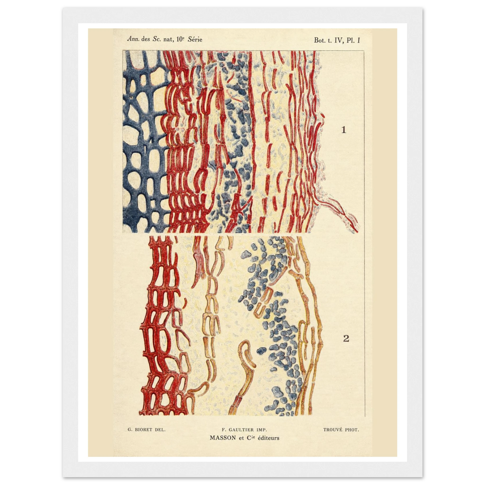 2b204ec4-7816-4139-947b-eb05ff63a1ca