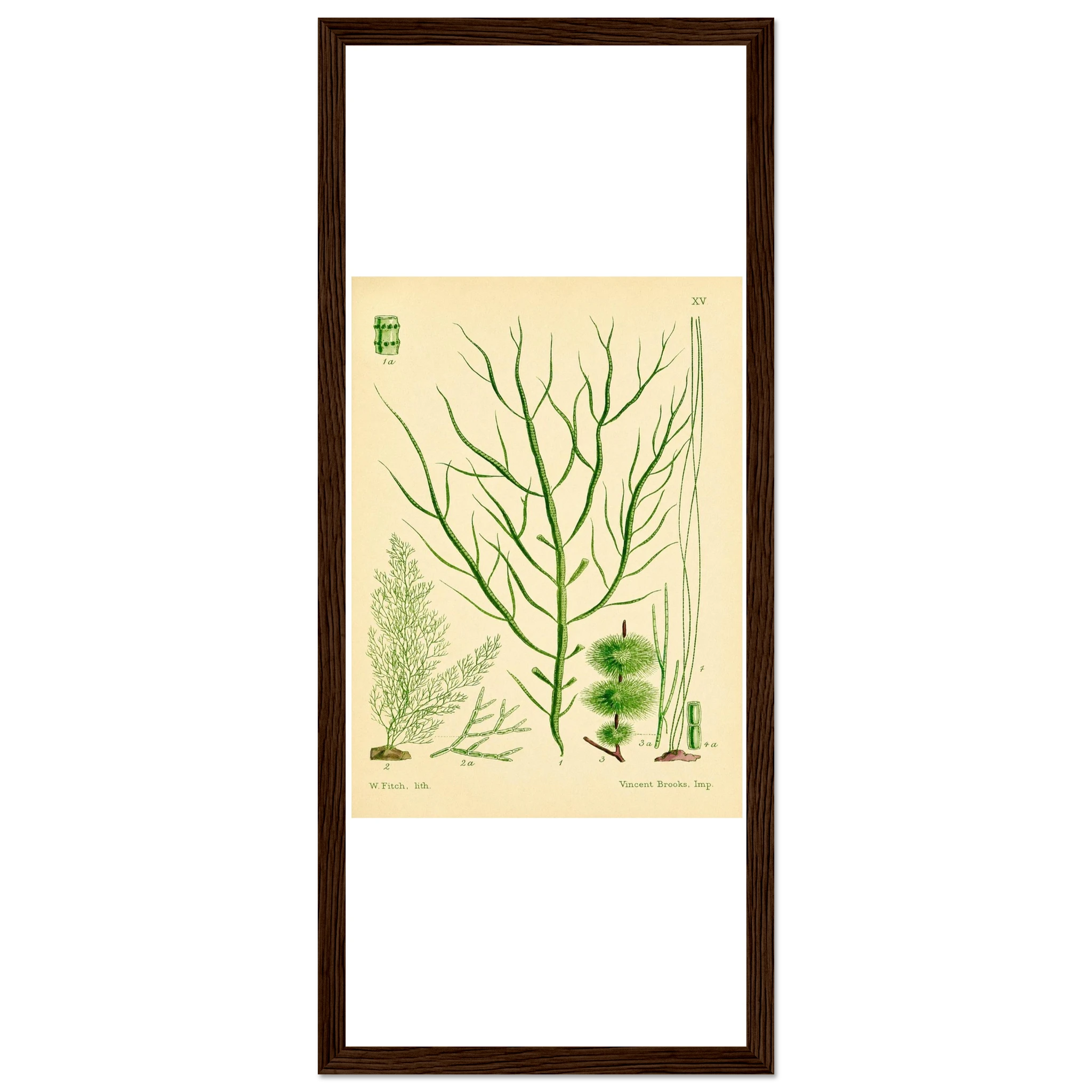 2b356260-db66-4e45-9e19-749e793fbfac