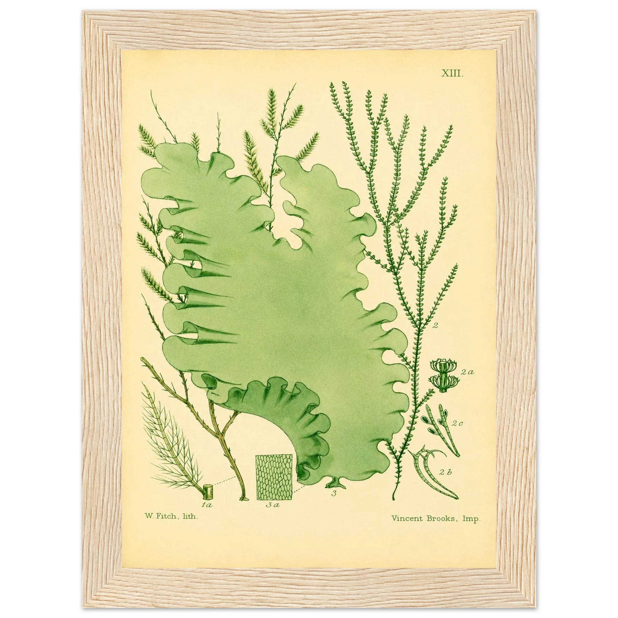 2b45d9ee-3ec2-458c-a1e3-c17218c64825