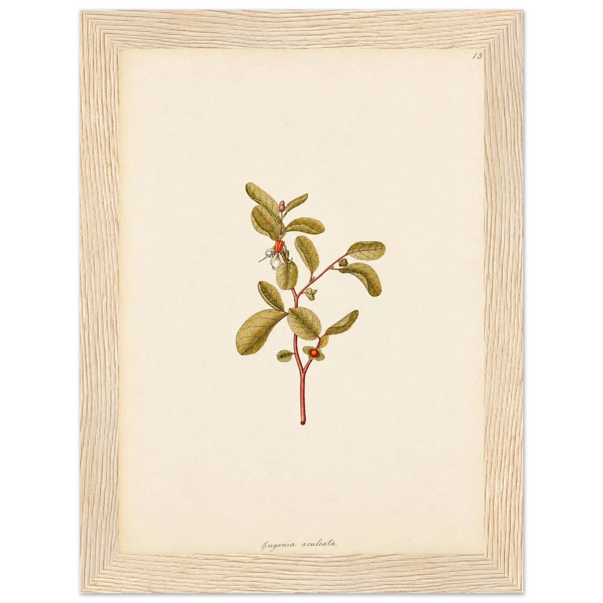 2b55f2c1-6282-416e-b62a-4ef379166ae6
