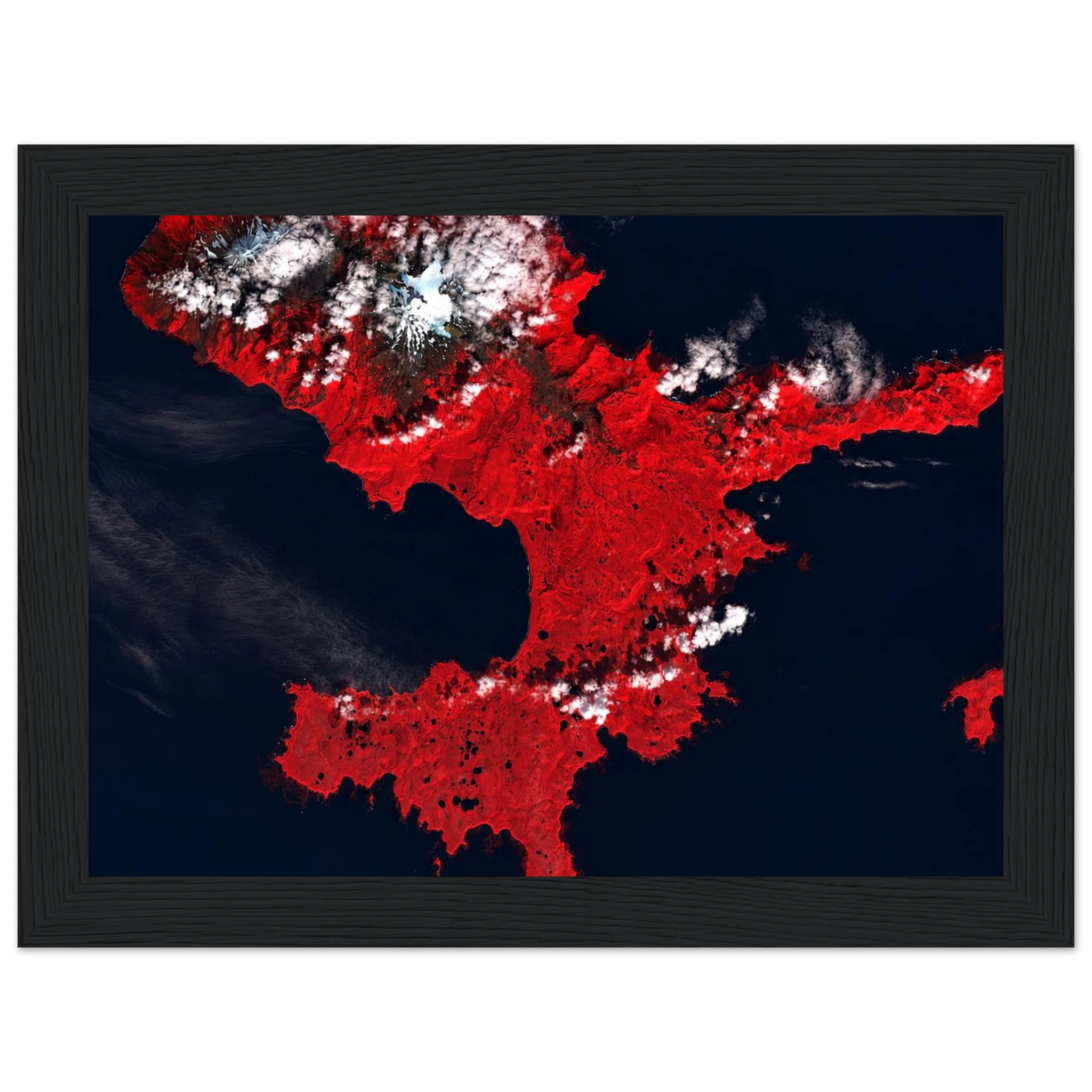 2c41ff6a-e408-4a03-b143-bcce1f86e806
