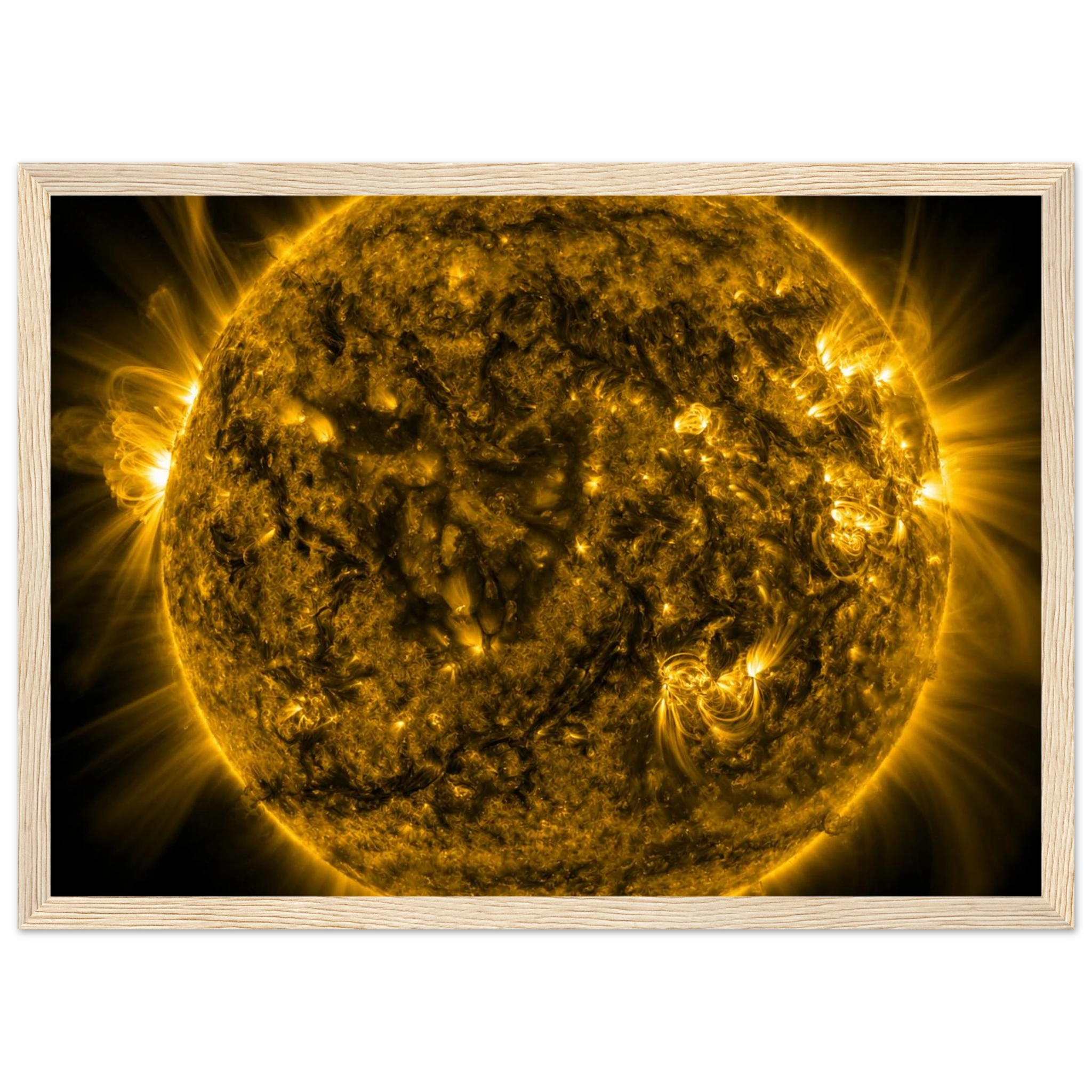 2c646592-2d07-4a01-bd13-a32e884ea32e