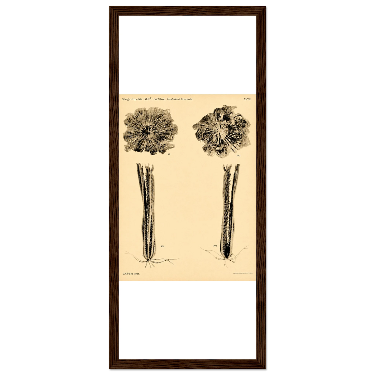 2c6bdc9a-4100-43e8-9e6f-9603845b098b