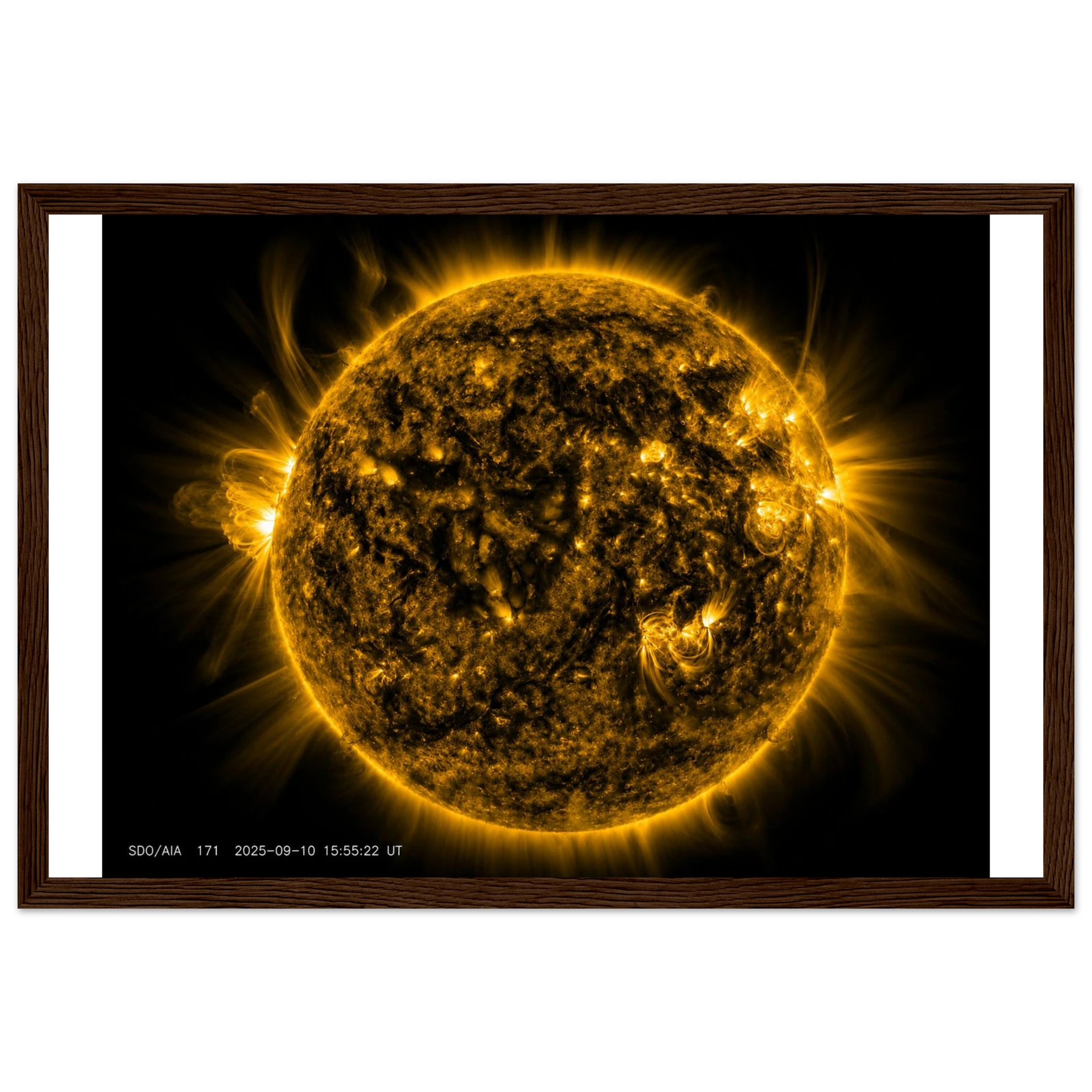 2ca4da3e-0d2d-4905-b76a-0fbc91579645