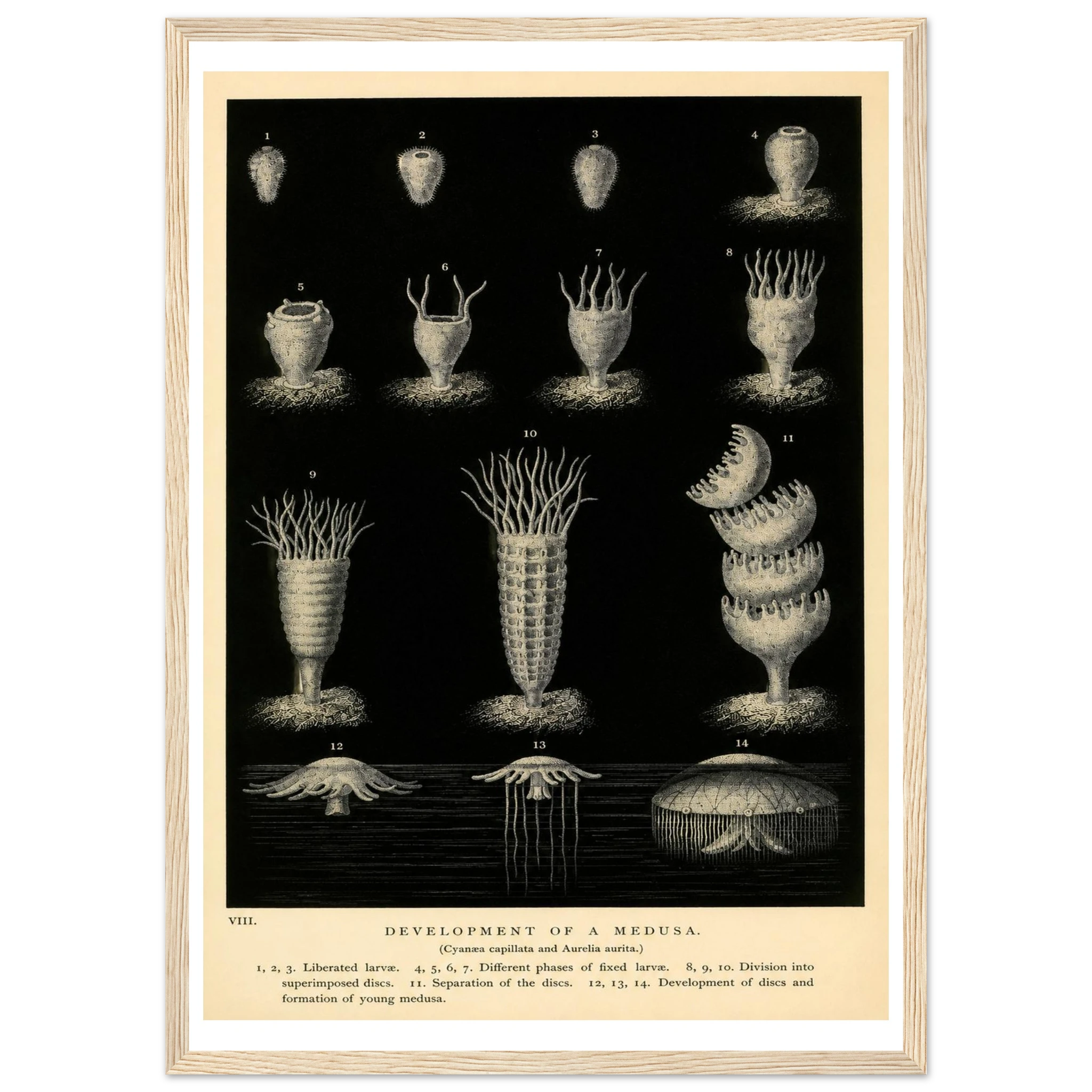 2cb9be79-cac0-4a50-8fbd-27feb43f453d