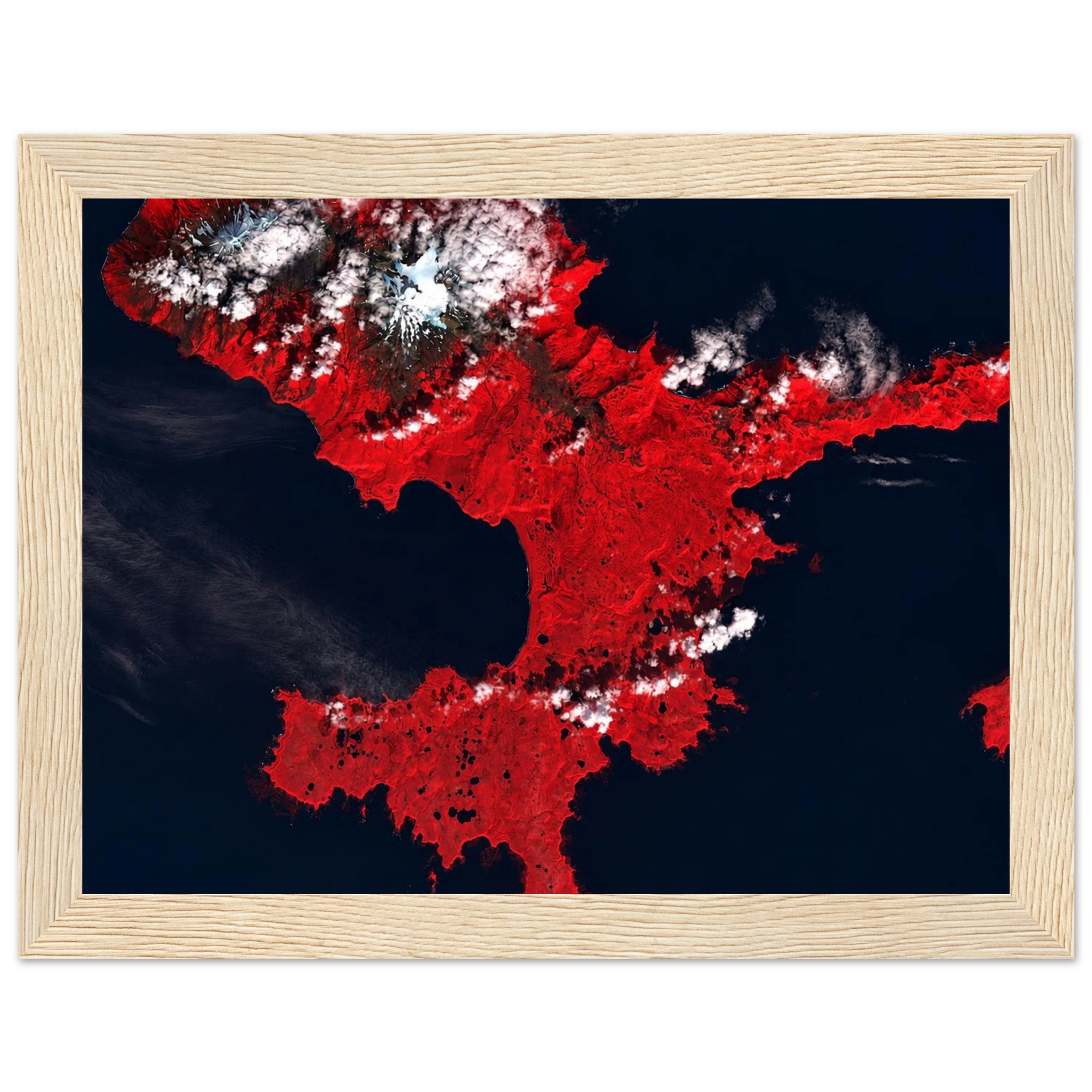 2cf5c78b-981f-4e26-922b-b795d694c292