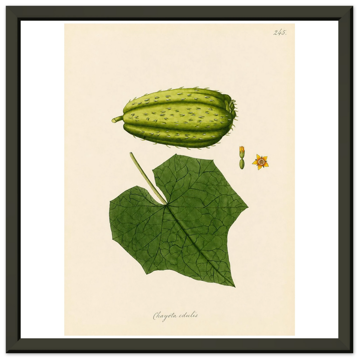 2d135bee-e773-41f0-bec0-5eef21614e7f