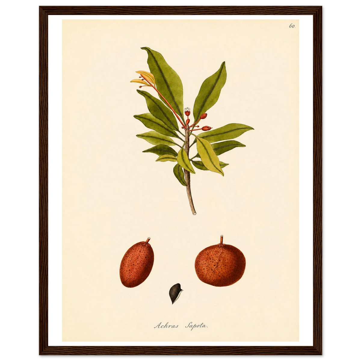 2d22e4cf-5a59-414e-9b5f-9a74e64d6c8f