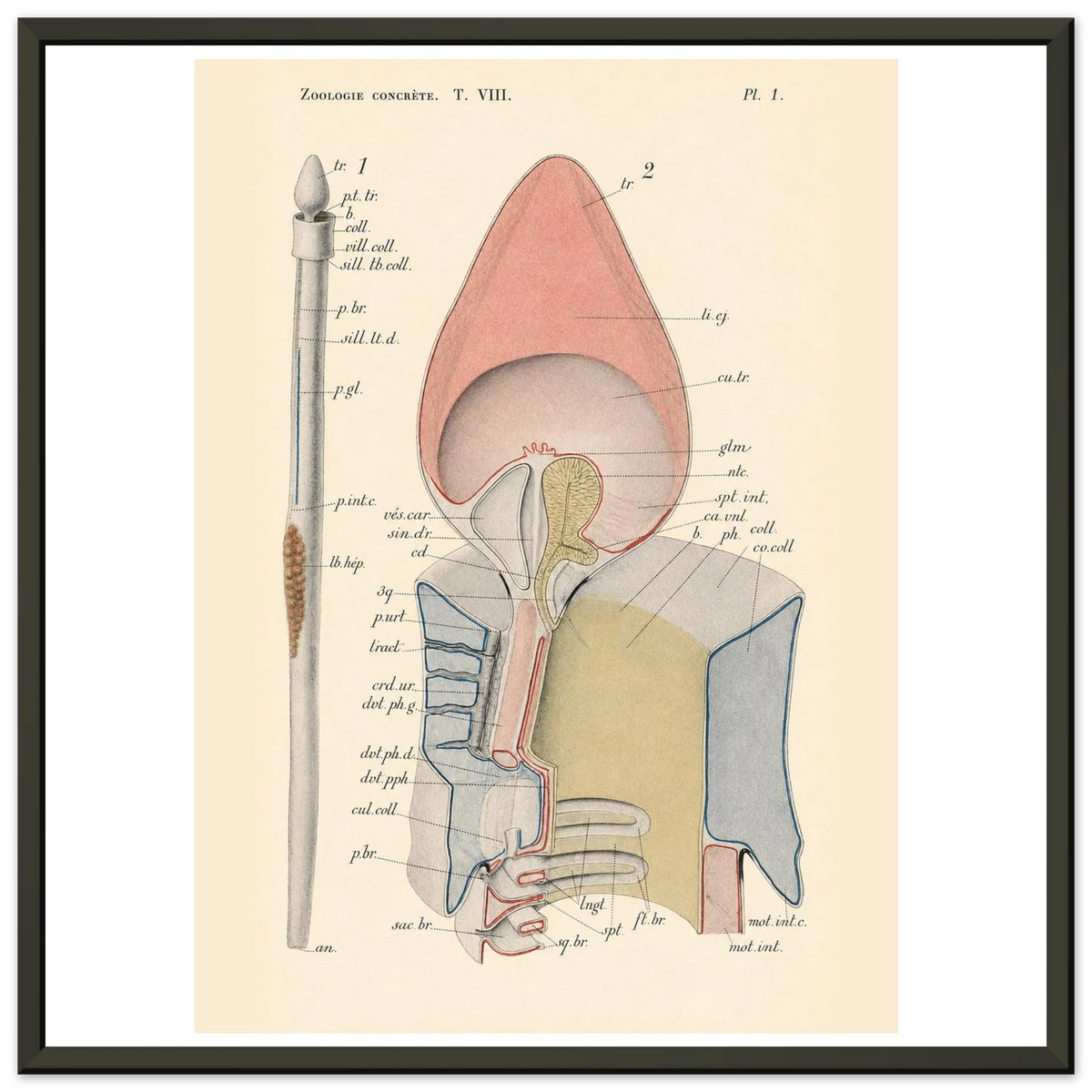 2dcea35a-bf5f-42e7-b49a-d5fb1b719bbb
