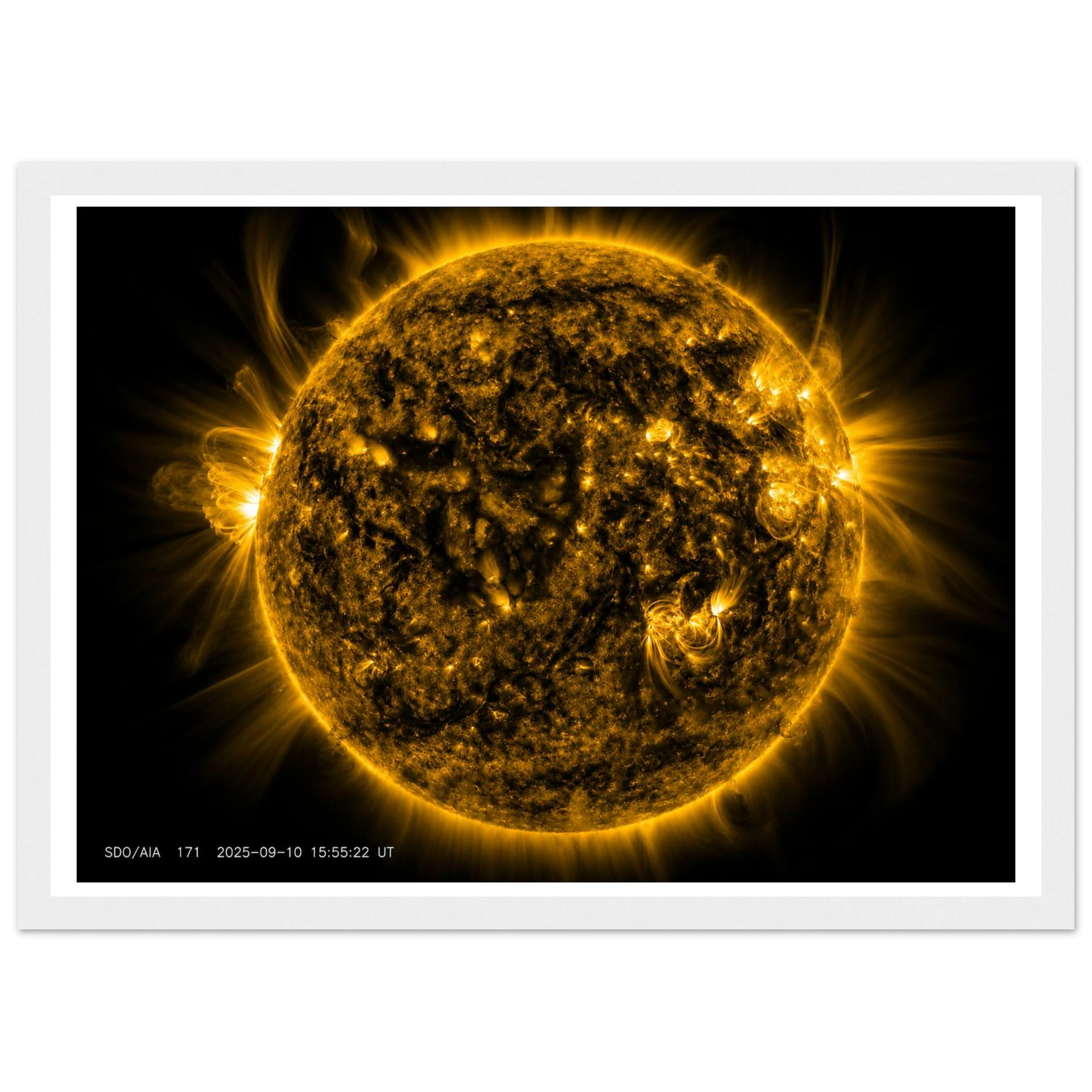 2e067477-d9c5-40ac-96db-621c9bf12cc9