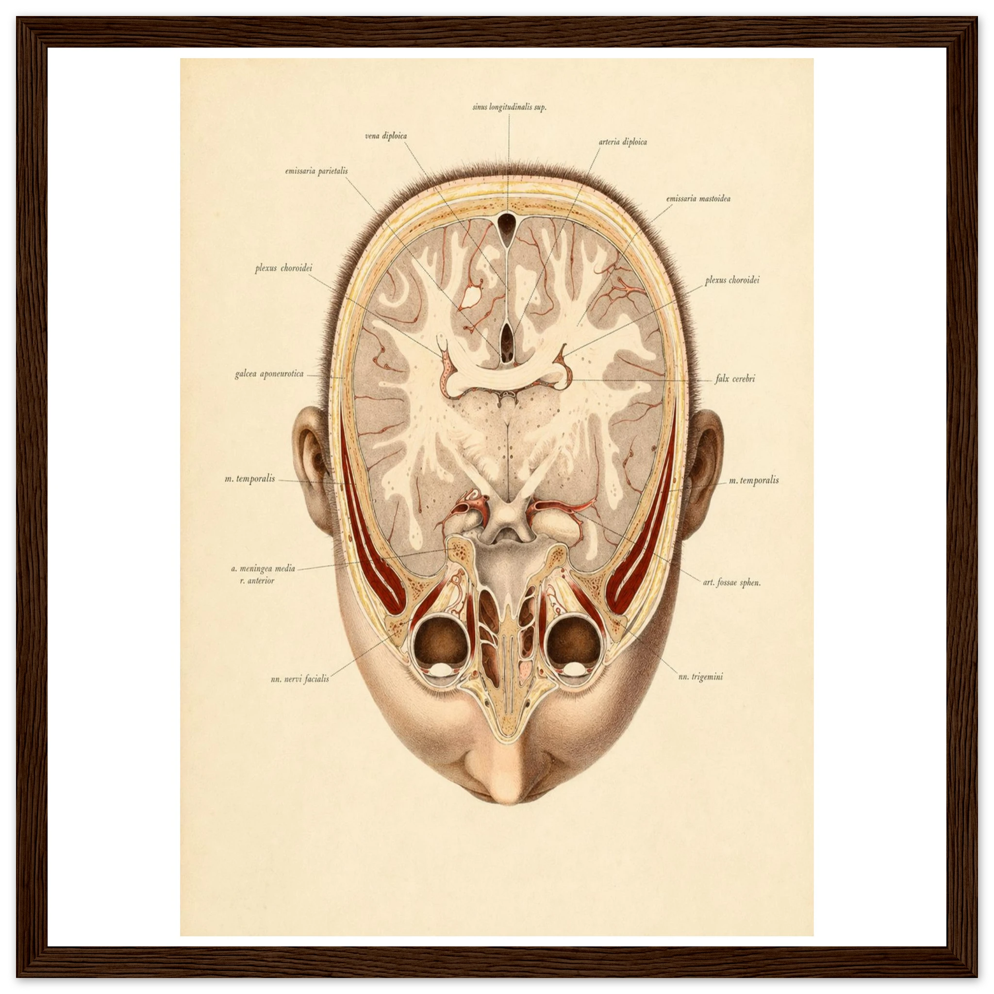 2e40ffdd-22d1-4090-865d-01c8f9dc6d4e