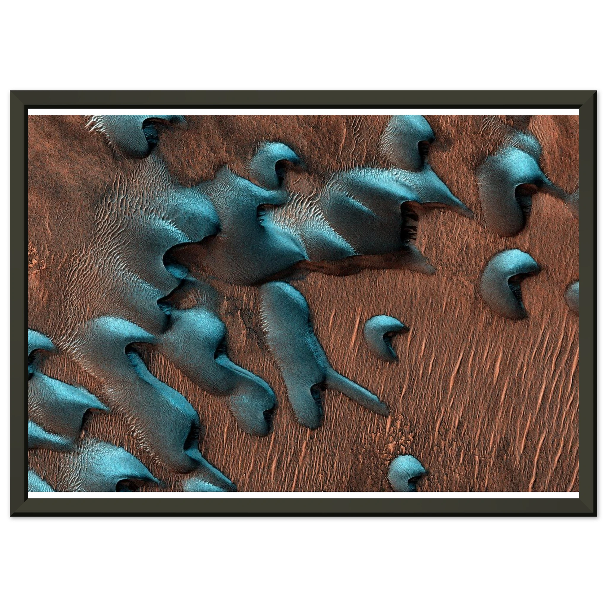 2e515a96-9960-442e-9786-7e387f5de741