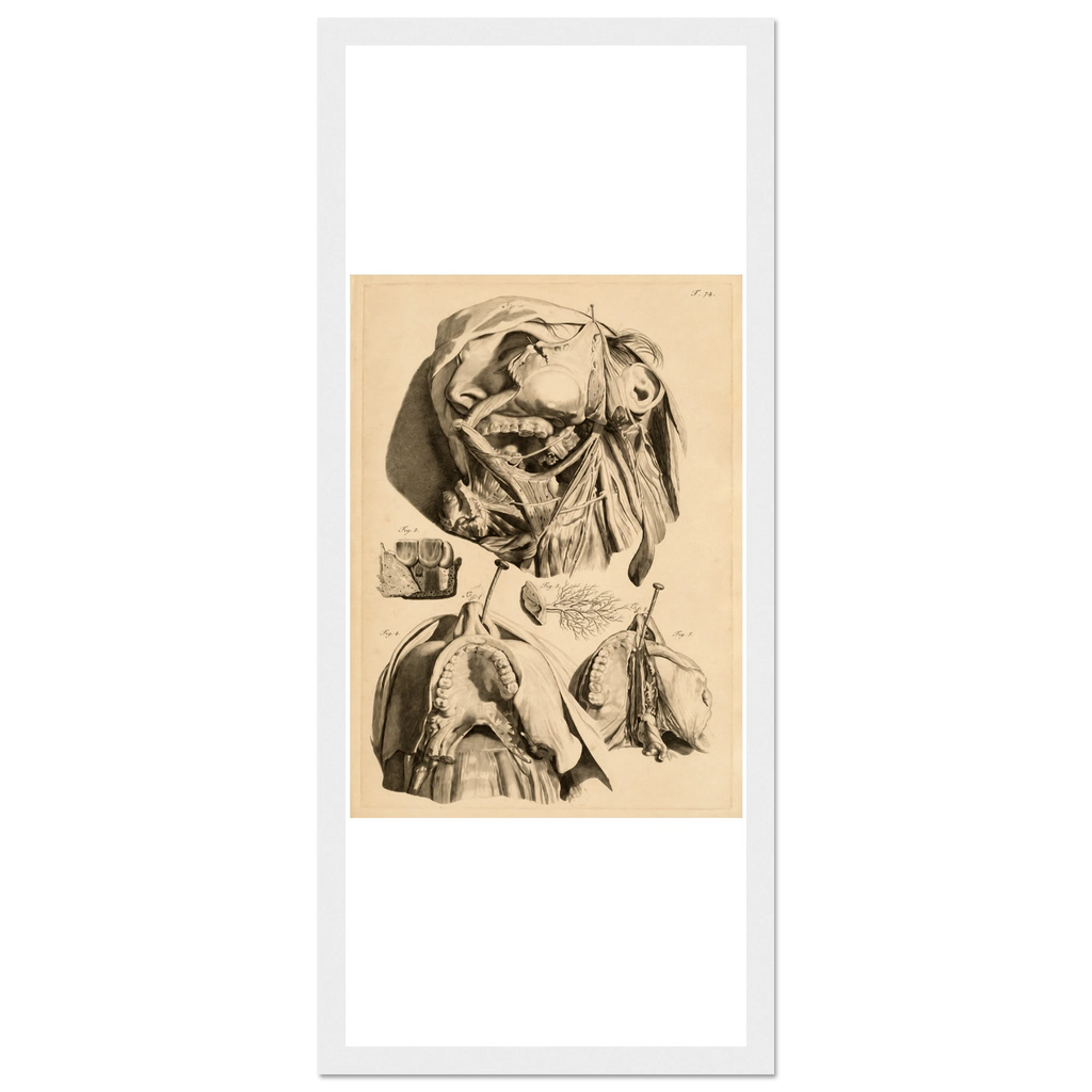 2ef0b996-47e4-41be-af5f-1c6c0bb0c4ae
