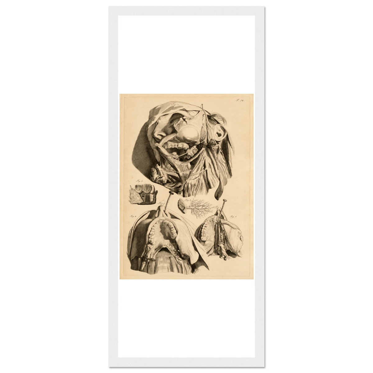 2ef0b996-47e4-41be-af5f-1c6c0bb0c4ae