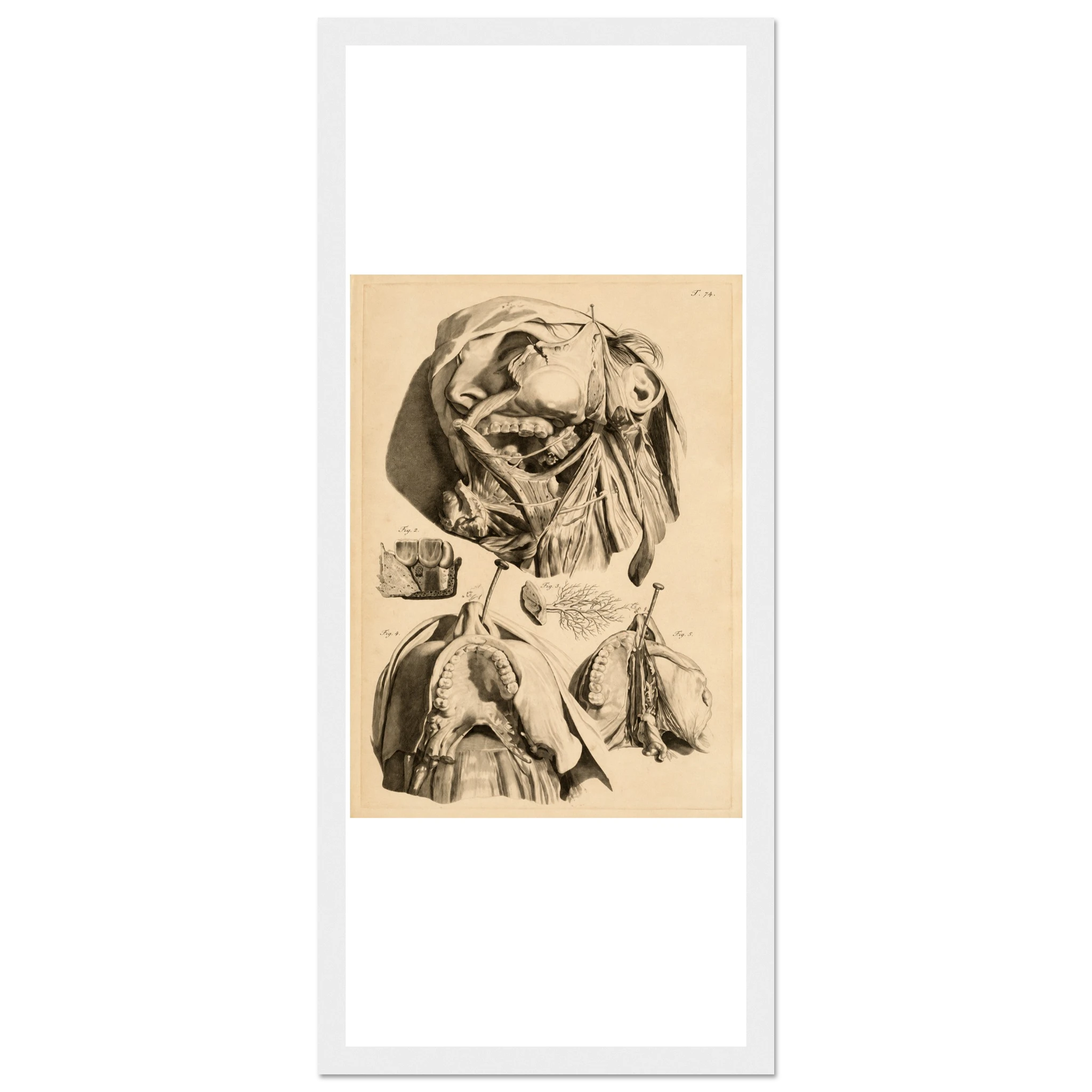 2ef0b996-47e4-41be-af5f-1c6c0bb0c4ae