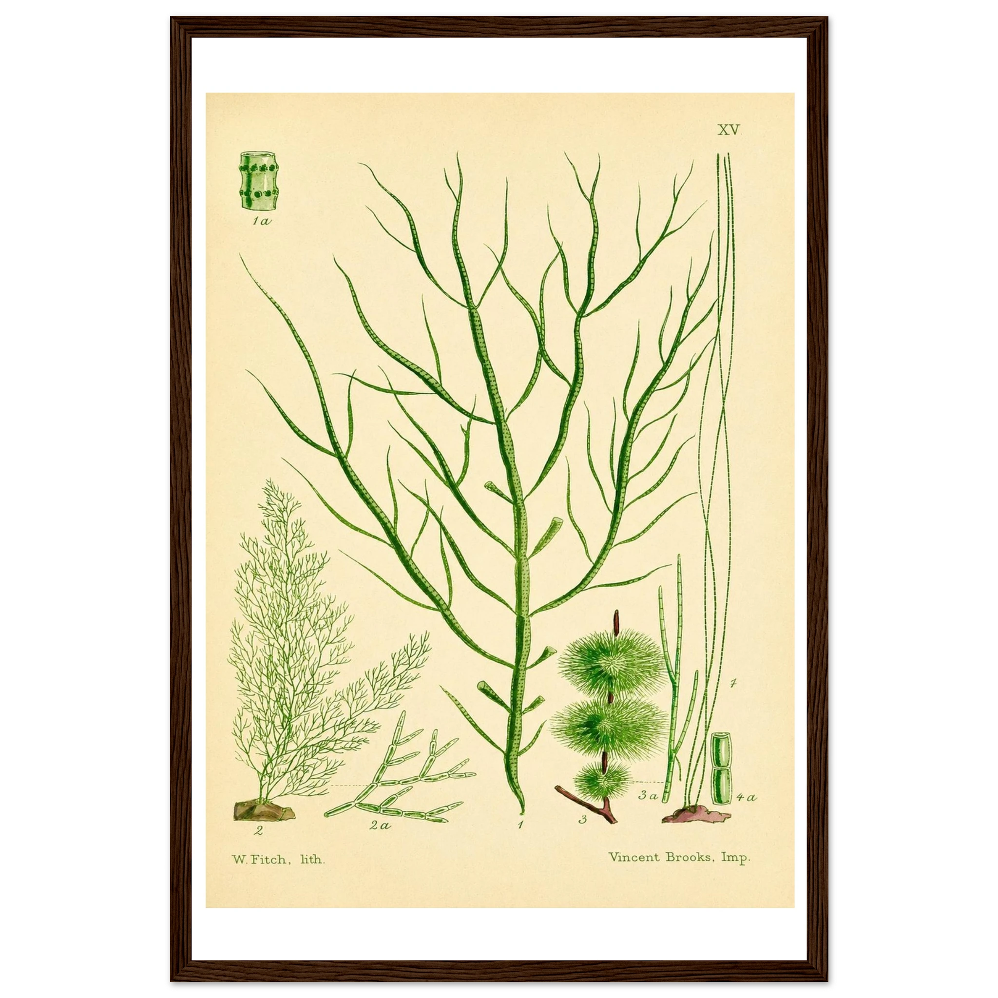 2f159714-8ded-430f-b6b8-dd799f2669b6