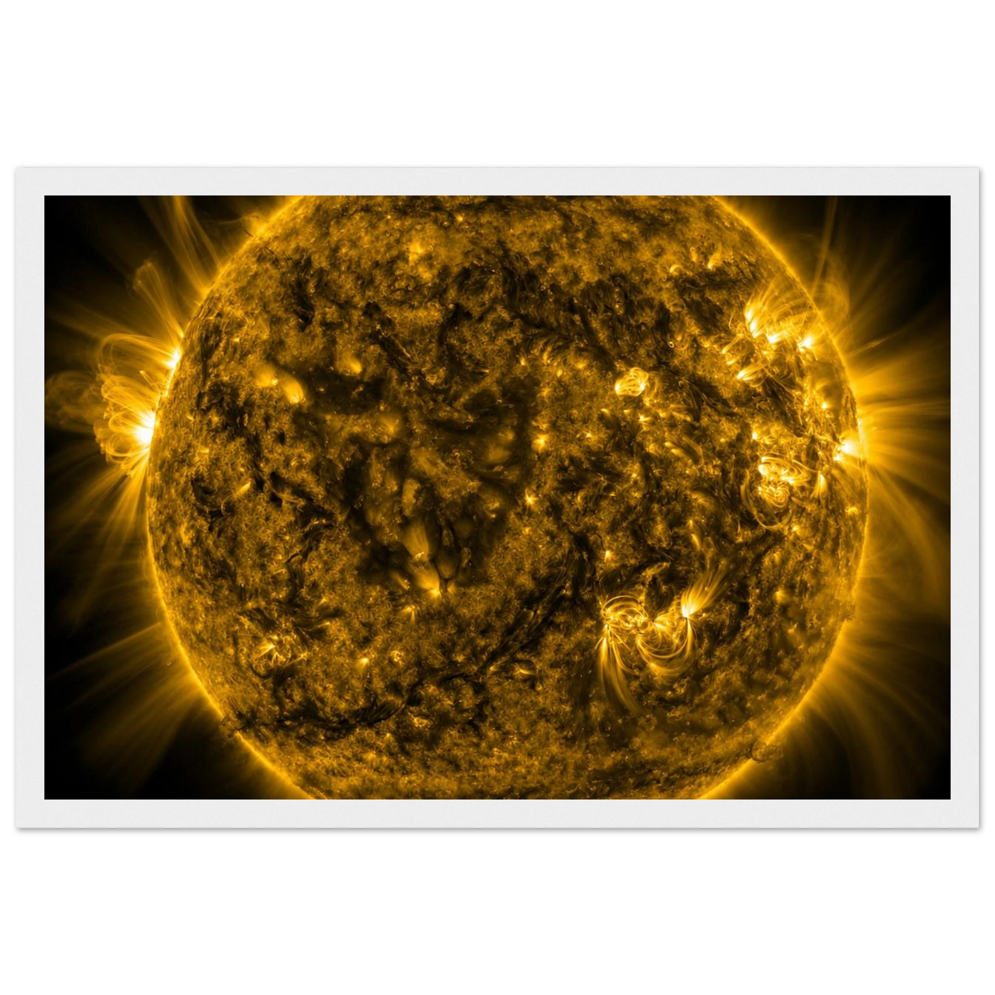 2f3e6ba8-8431-42a5-bd01-33f77ce7f192