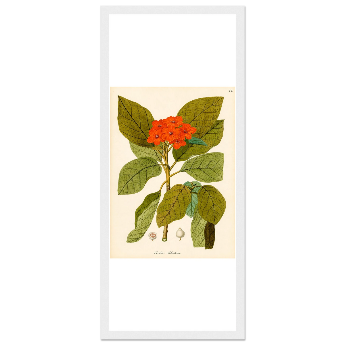 2f4f518b-812b-438a-88aa-b7a1c0ea9afc