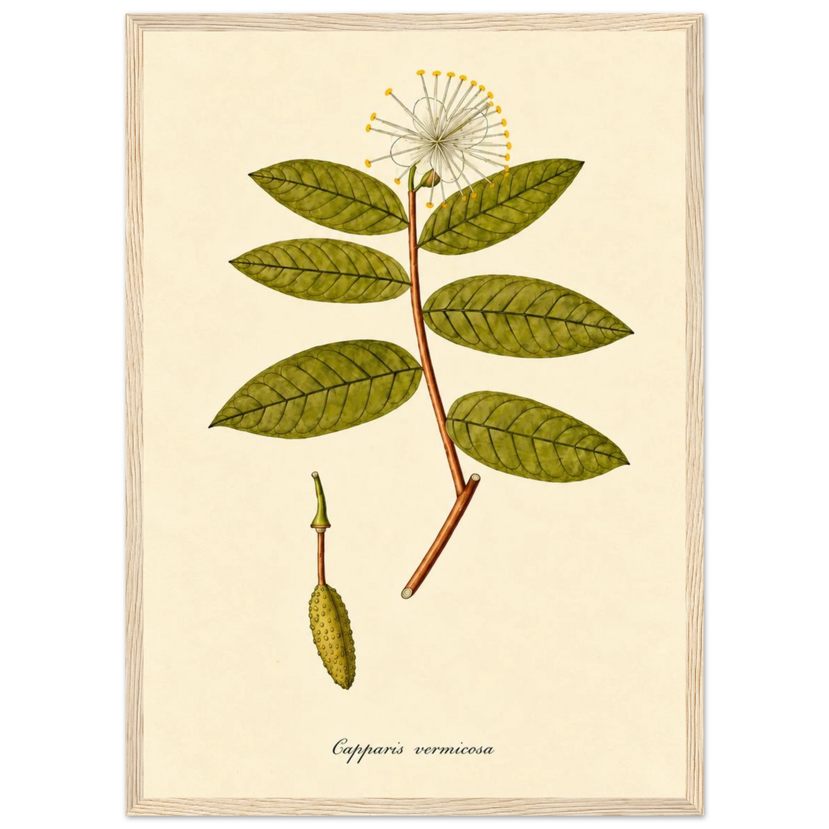 2fd045e9-07b2-4887-acc6-09dd2bba9996
