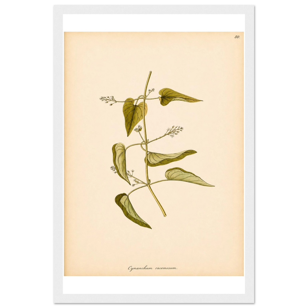 2fdb10e0-d264-4365-833f-e108822369fa