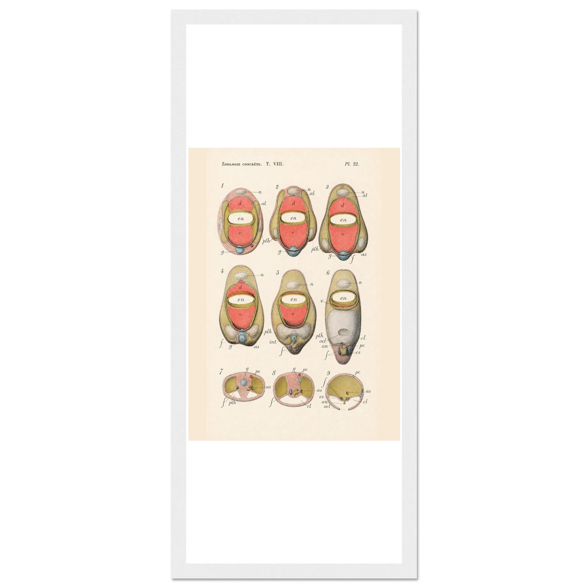 30f82b54-dbed-4492-b98d-22d1b7eaeeb9