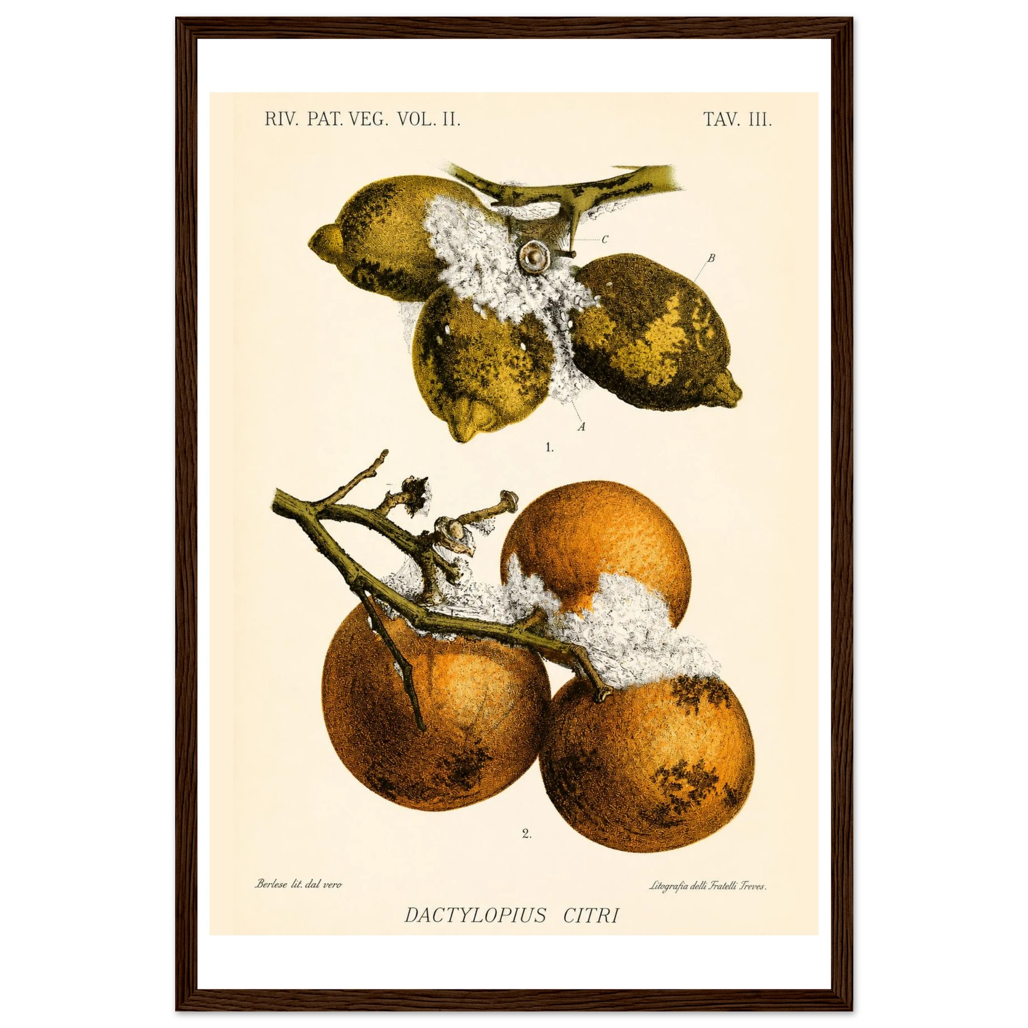 312608f3-444d-4425-bcf0-df5964bc91e1