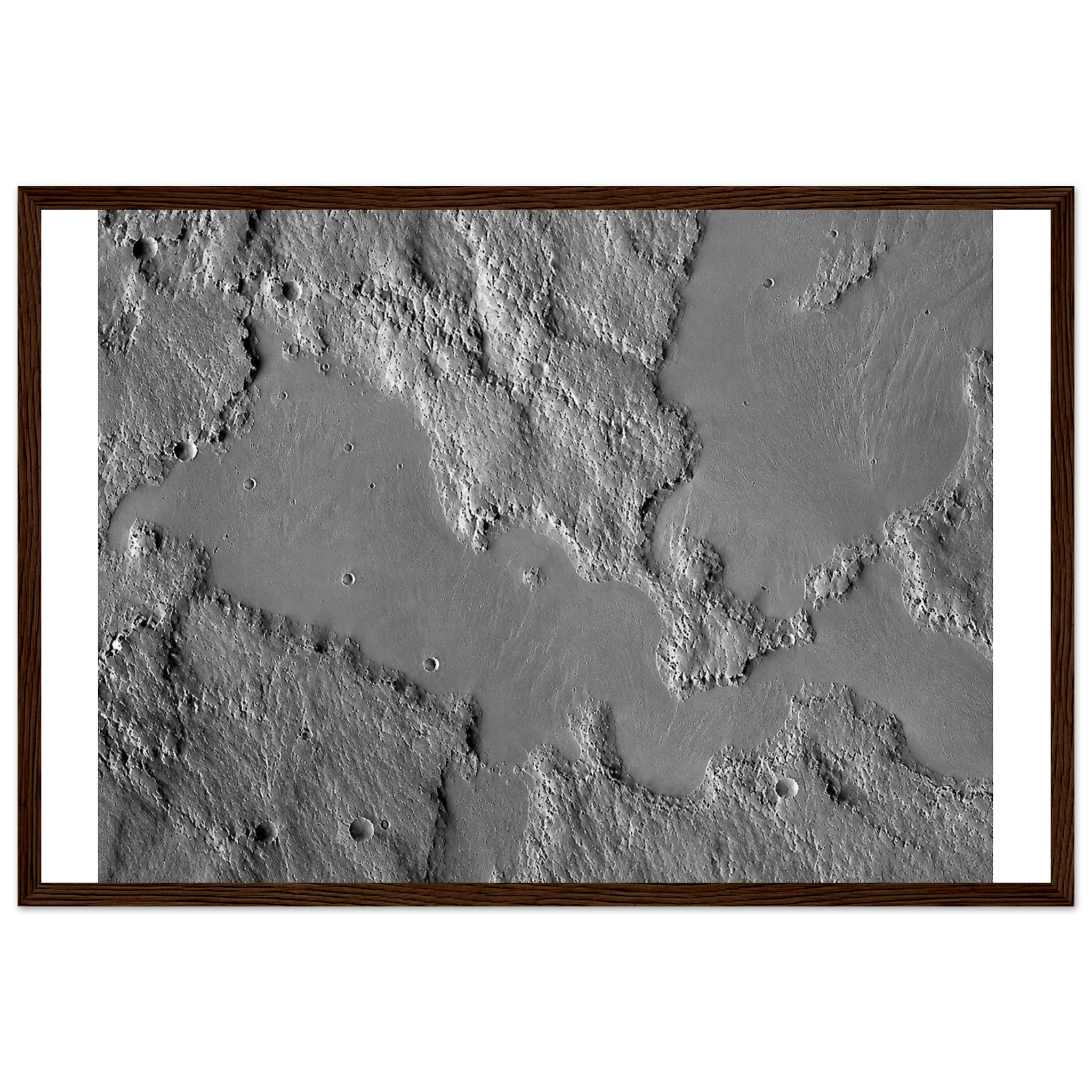 317df9b6-0448-4e93-b7d6-b40f573e1a71