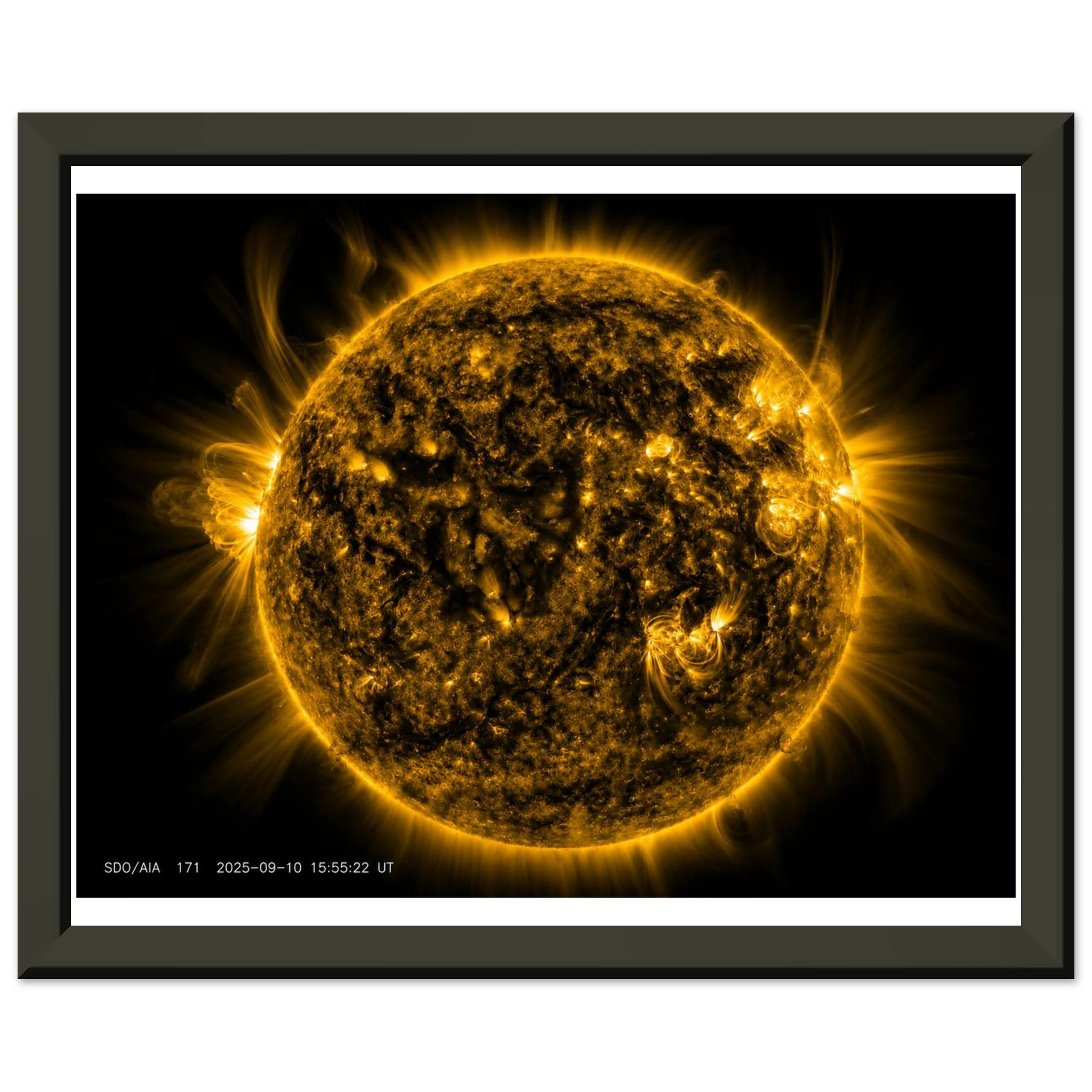 325b8369-58f5-473e-b766-7faca5f343a2