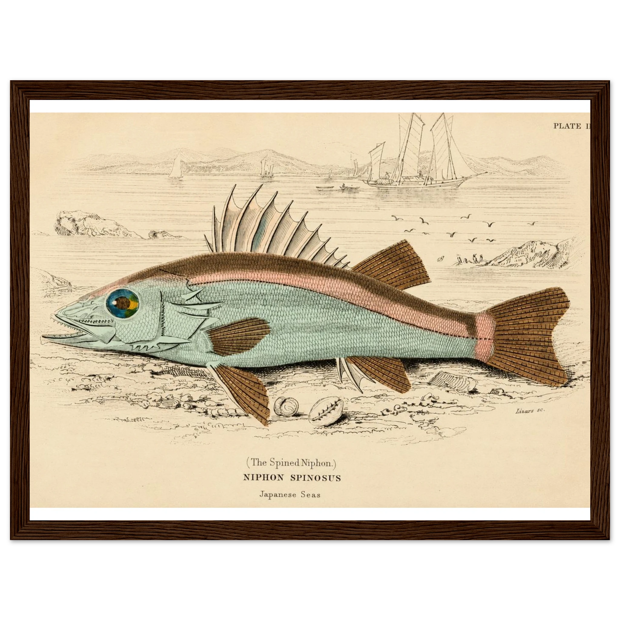 338d5de4-268b-436d-b92d-32dc04c44539