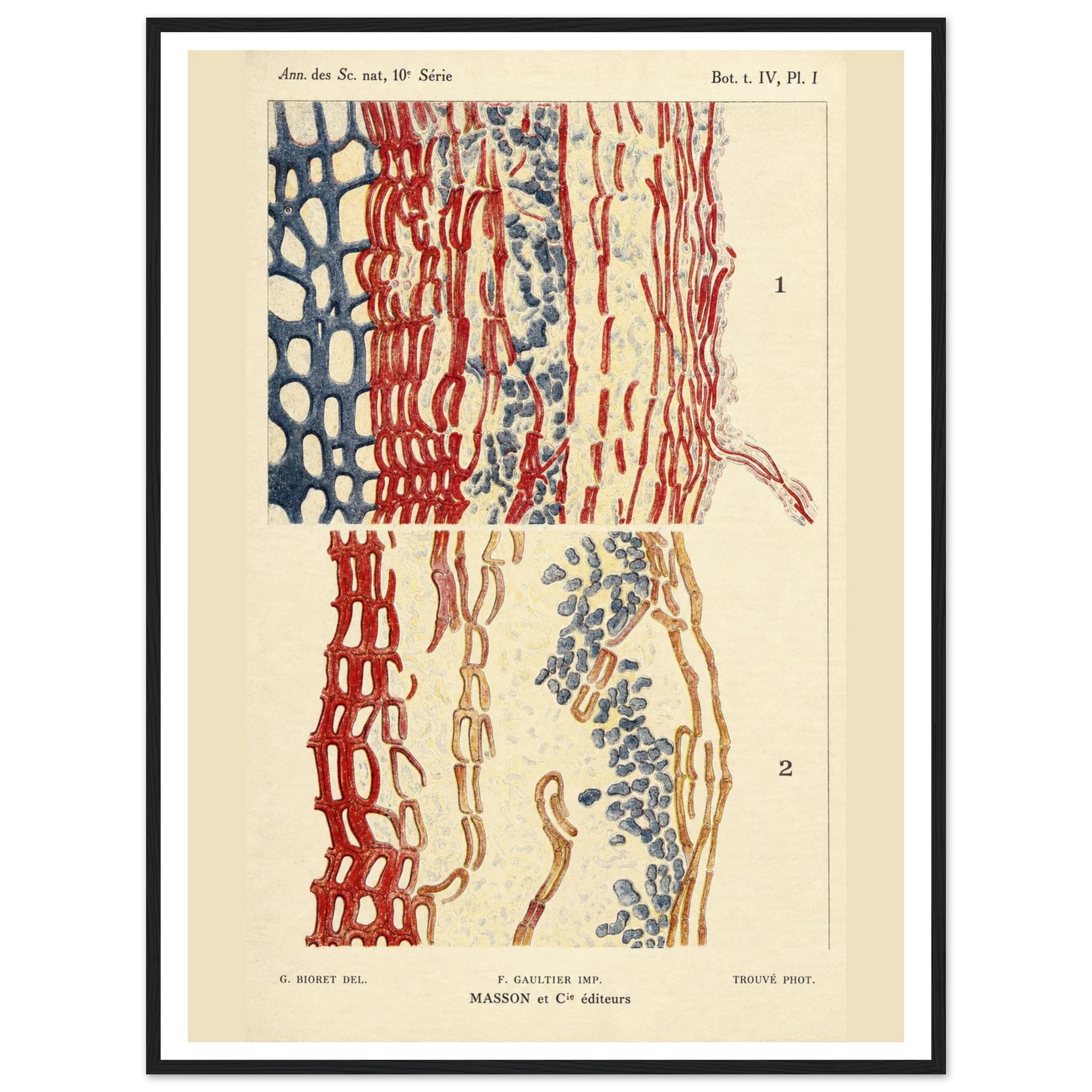 33d99109-925d-4614-9e06-26b392107388