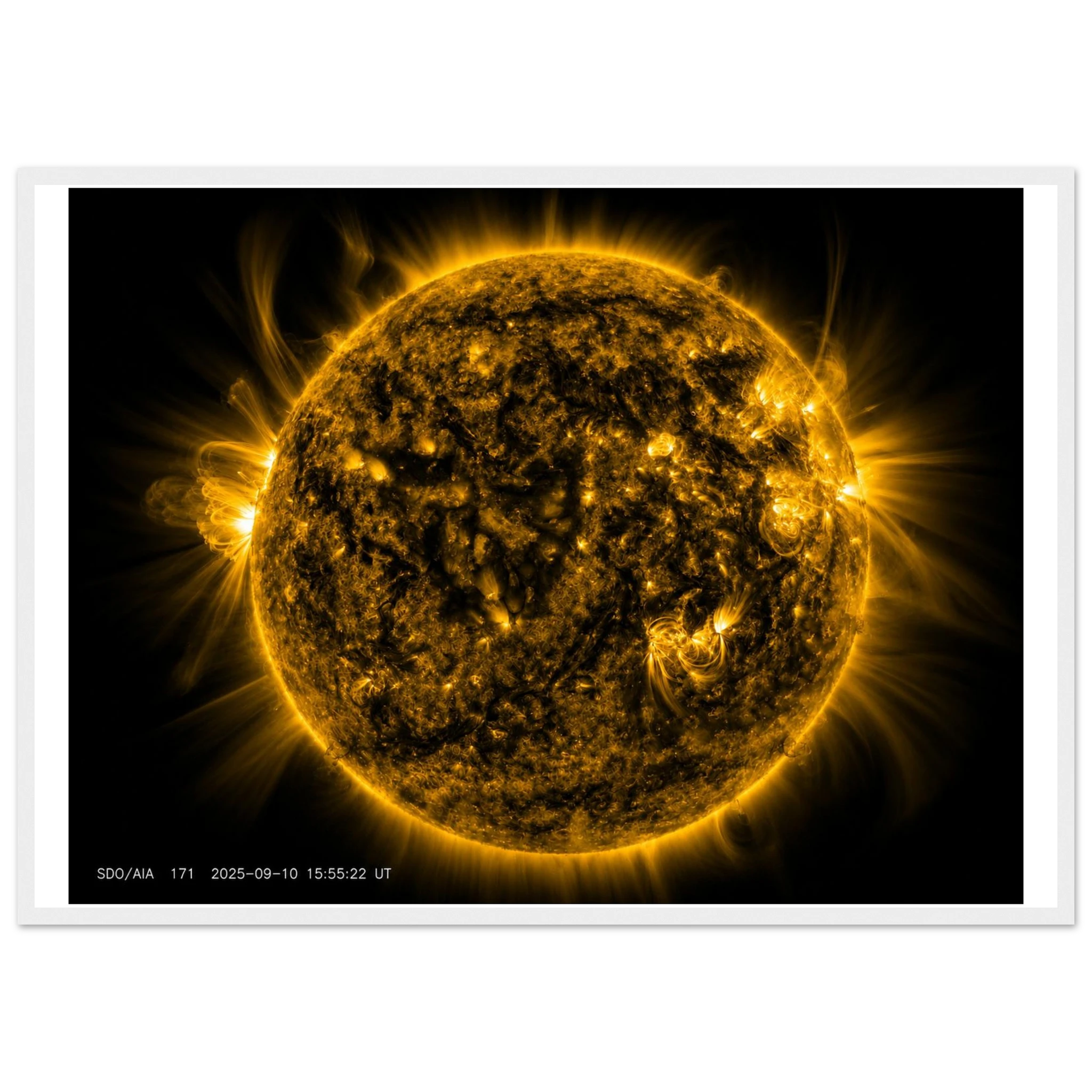 33f646d0-8d27-47c4-ad2e-20b890556e6d