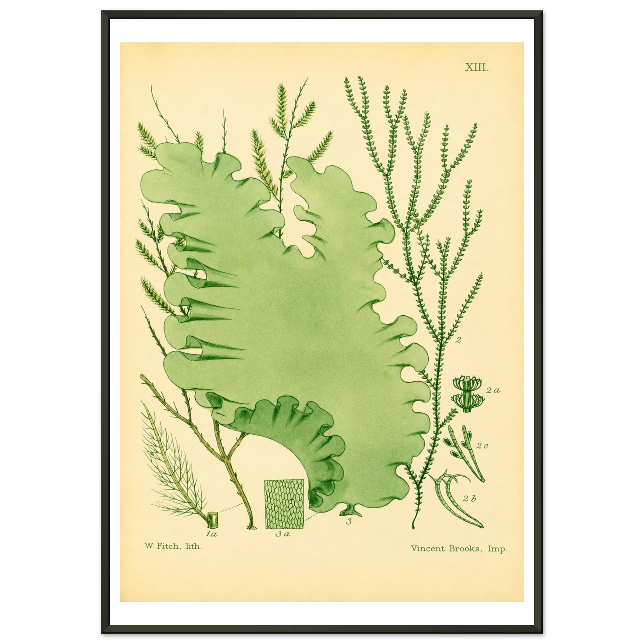 342fc35d-b105-4c09-a813-7c7b4ae5b149