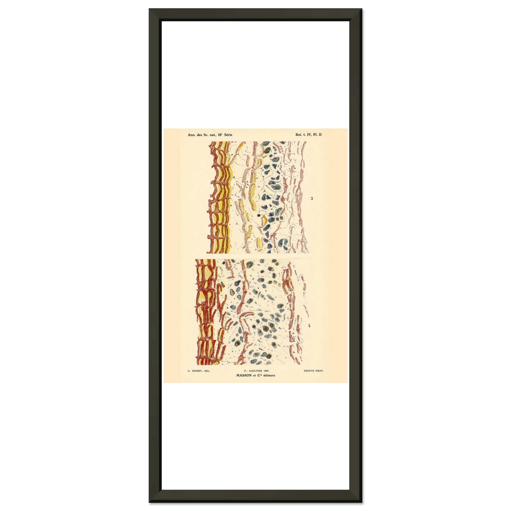 35dcdffe-0918-4ac7-ab23-827b8b392fe9