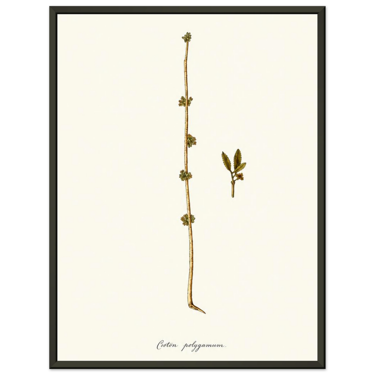 363a4abe-2c62-4d14-8642-4b3bdff6ca9f
