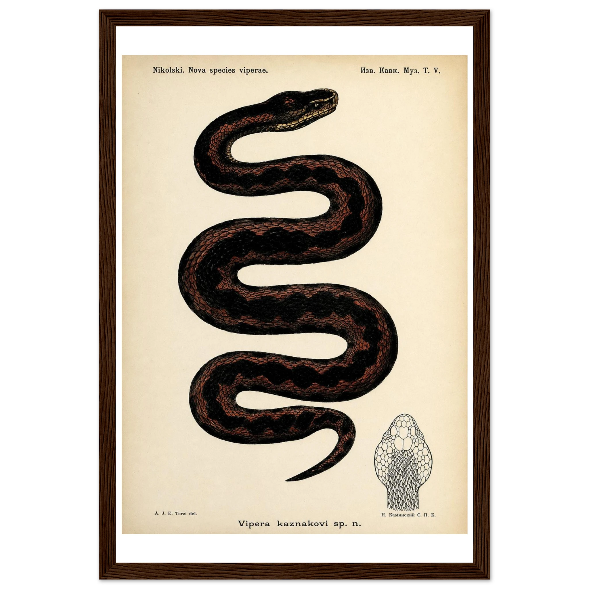 37792f45-0fed-43ec-a334-63be8a88d32c