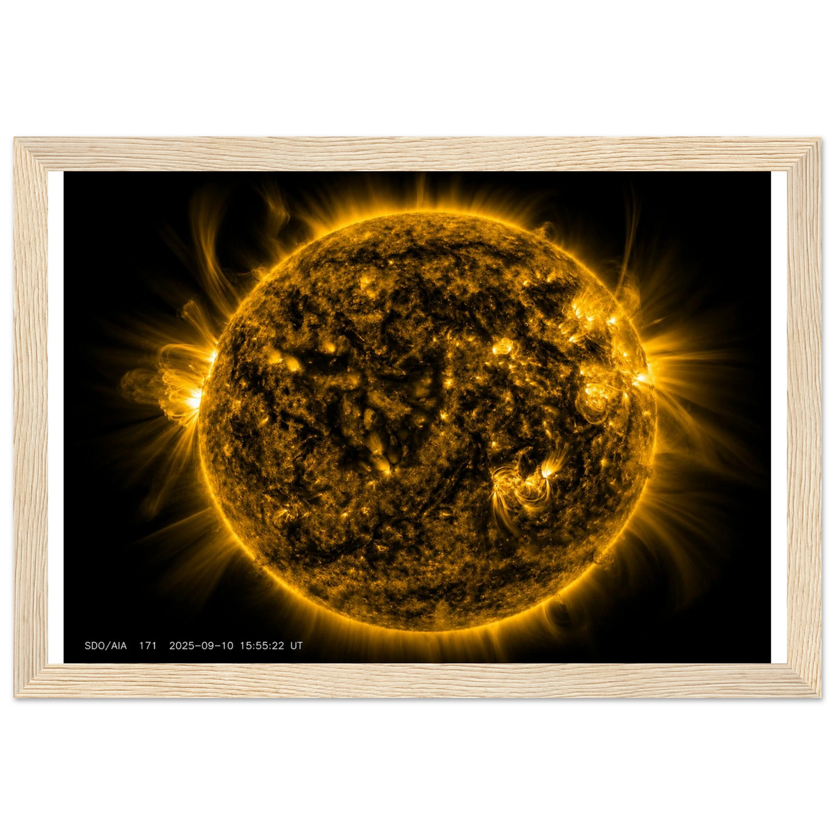 37ca68b4-fb62-4fa1-832b-3e645675c302