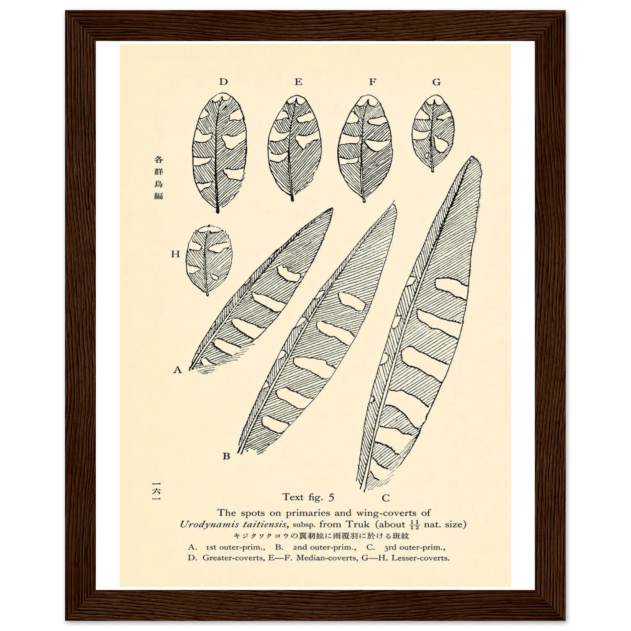 37d07ebc-c194-4bfe-9d9f-63b50116e6ba