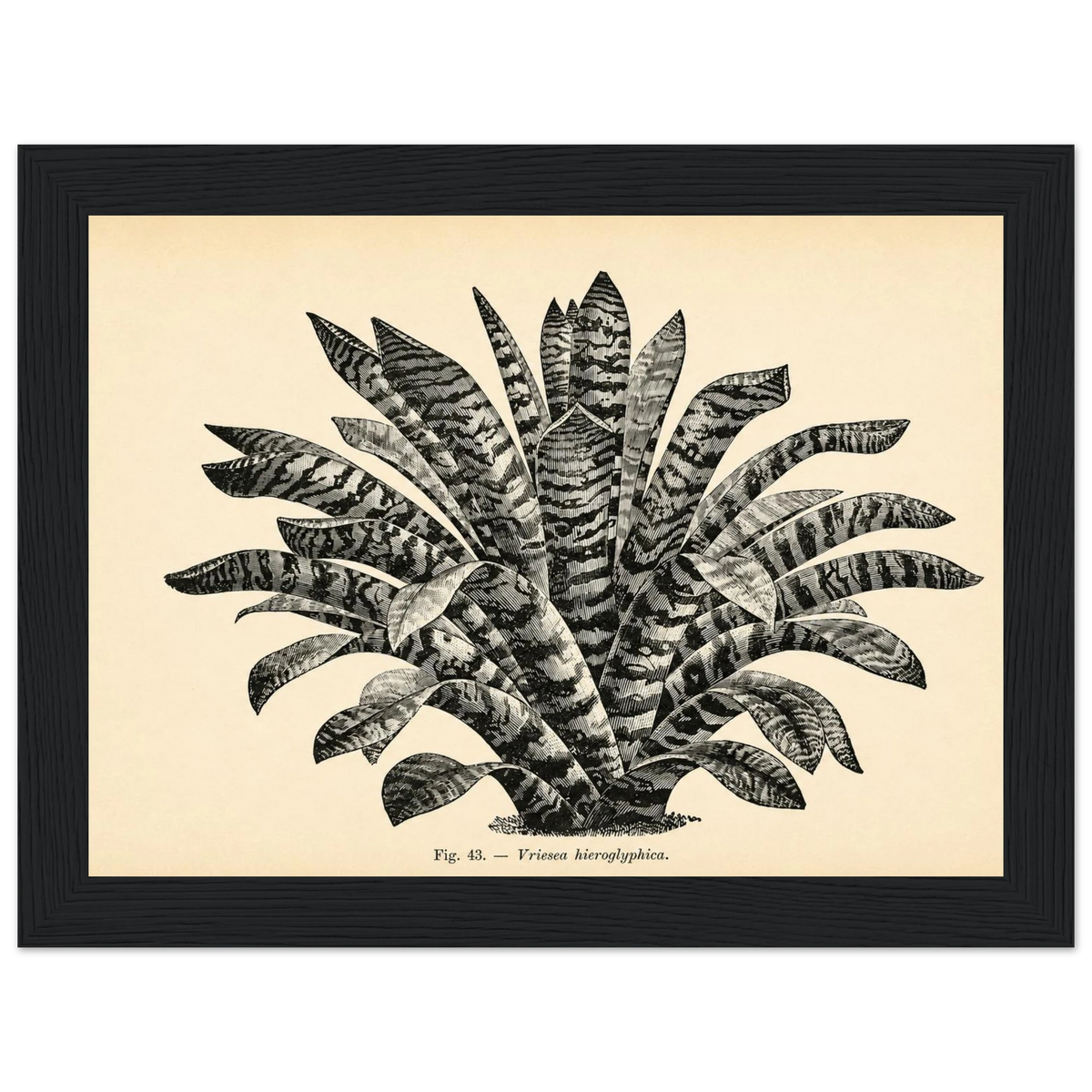 37e2ac54-1737-4b78-808d-ca41994bd5f0