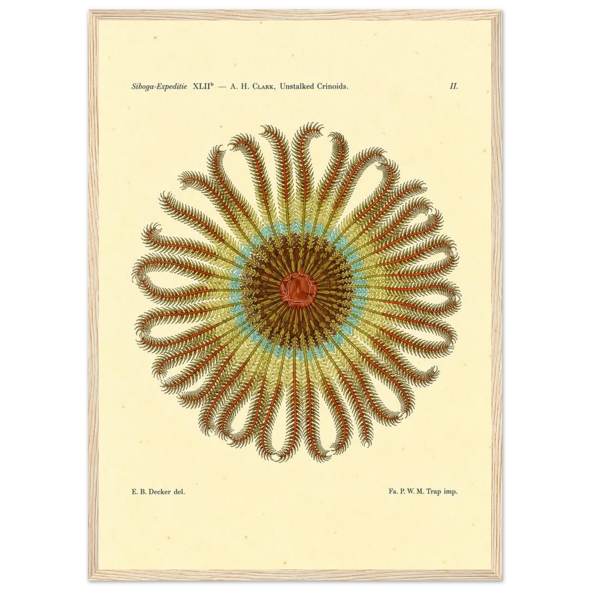 384c0d02-da6f-41f9-abd9-d62d61b4f4c7