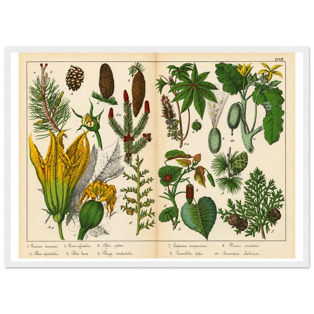 3943266c-99d5-4992-be66-bd9efdd26c07