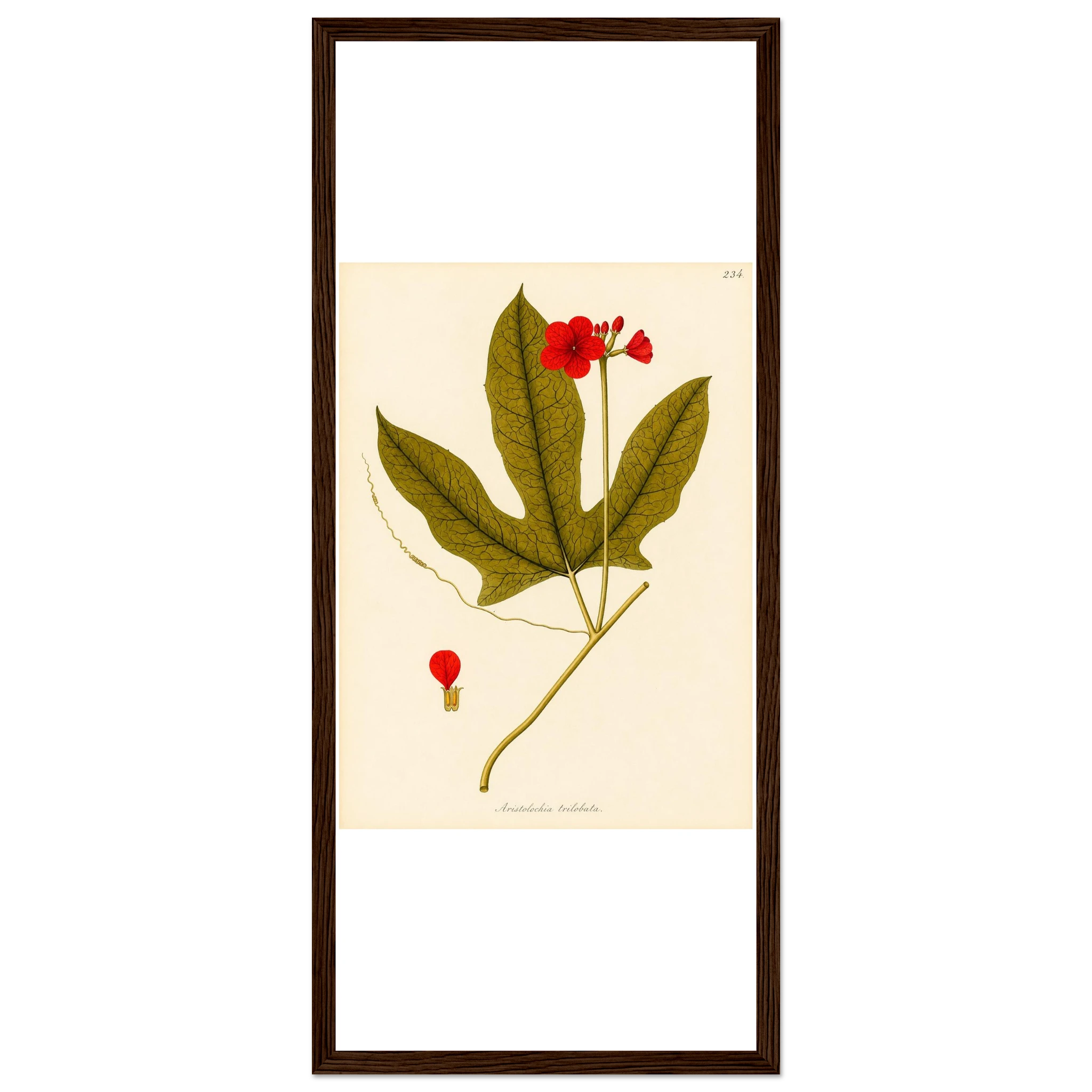 3981d337-2d50-40e4-9941-4addbb408ad2