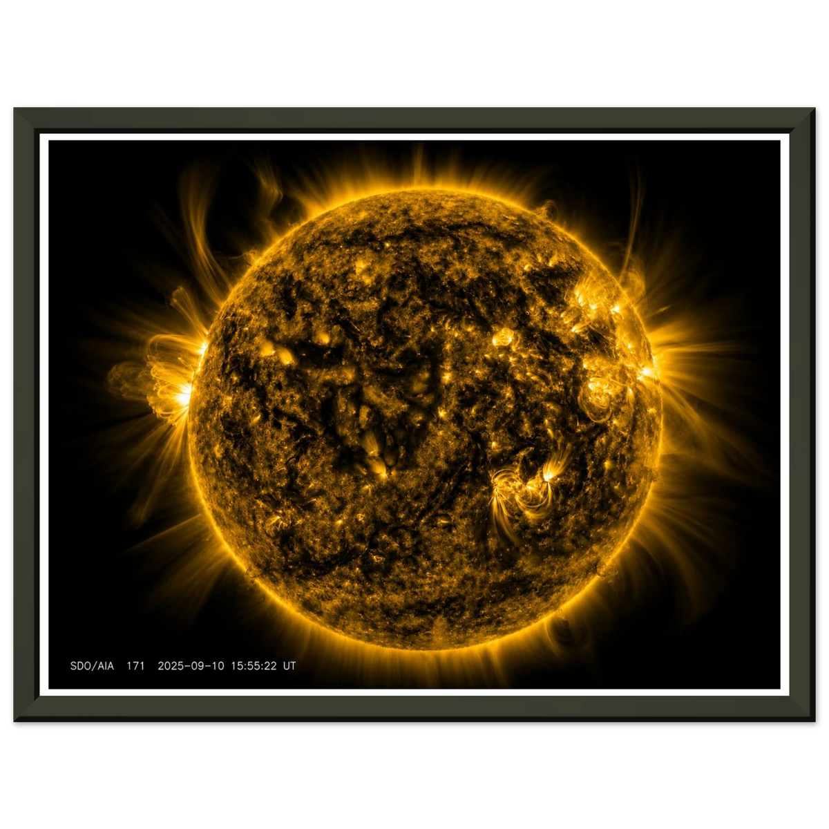 39c6093f-768e-414c-b993-9aa2c0436e17