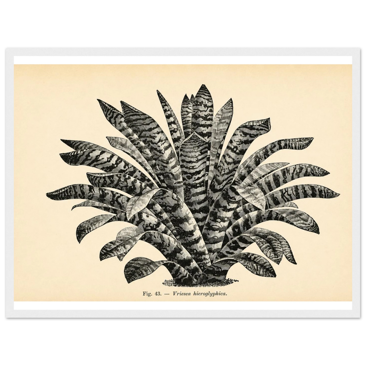 39ea3fdc-37ec-4089-b077-8ff04e245cbe