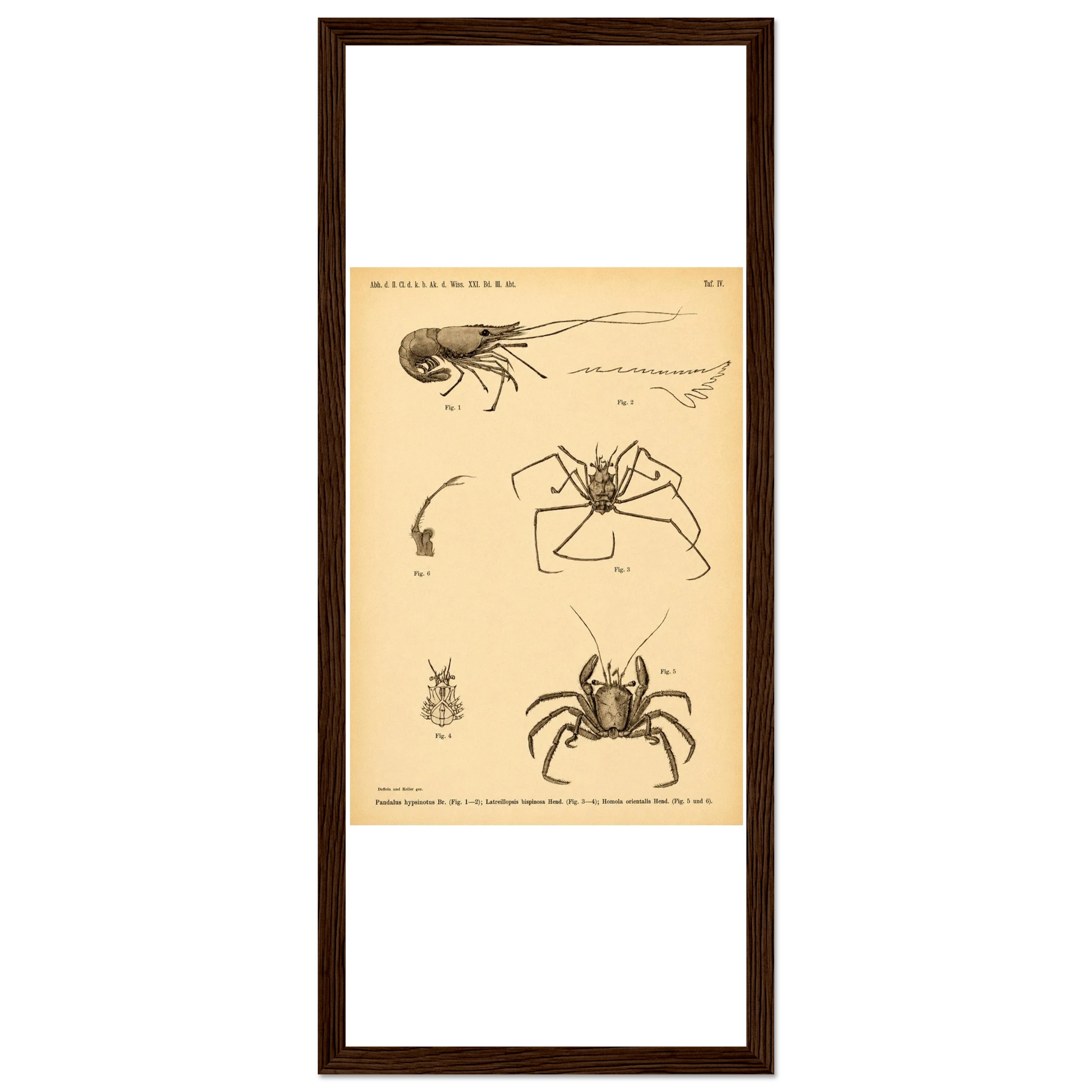 3a5f2260-df80-4cfe-b5dd-56ee24c856e8