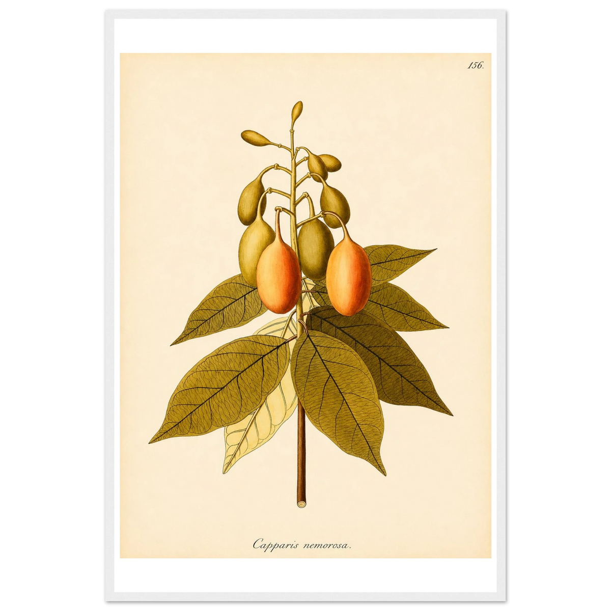 3aff09ea-efed-4d16-9770-16fe9aeb90b5