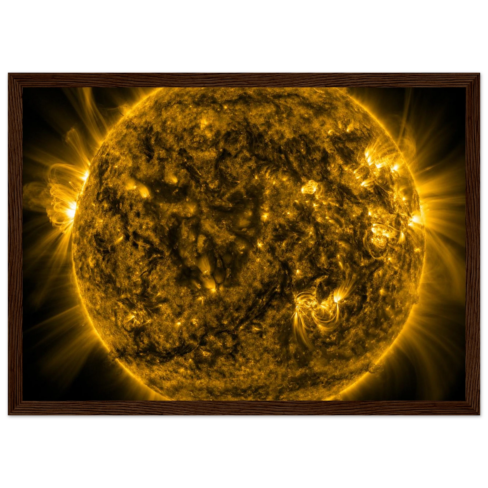 3b8e66cd-fdf2-43ab-93d6-300163871f68