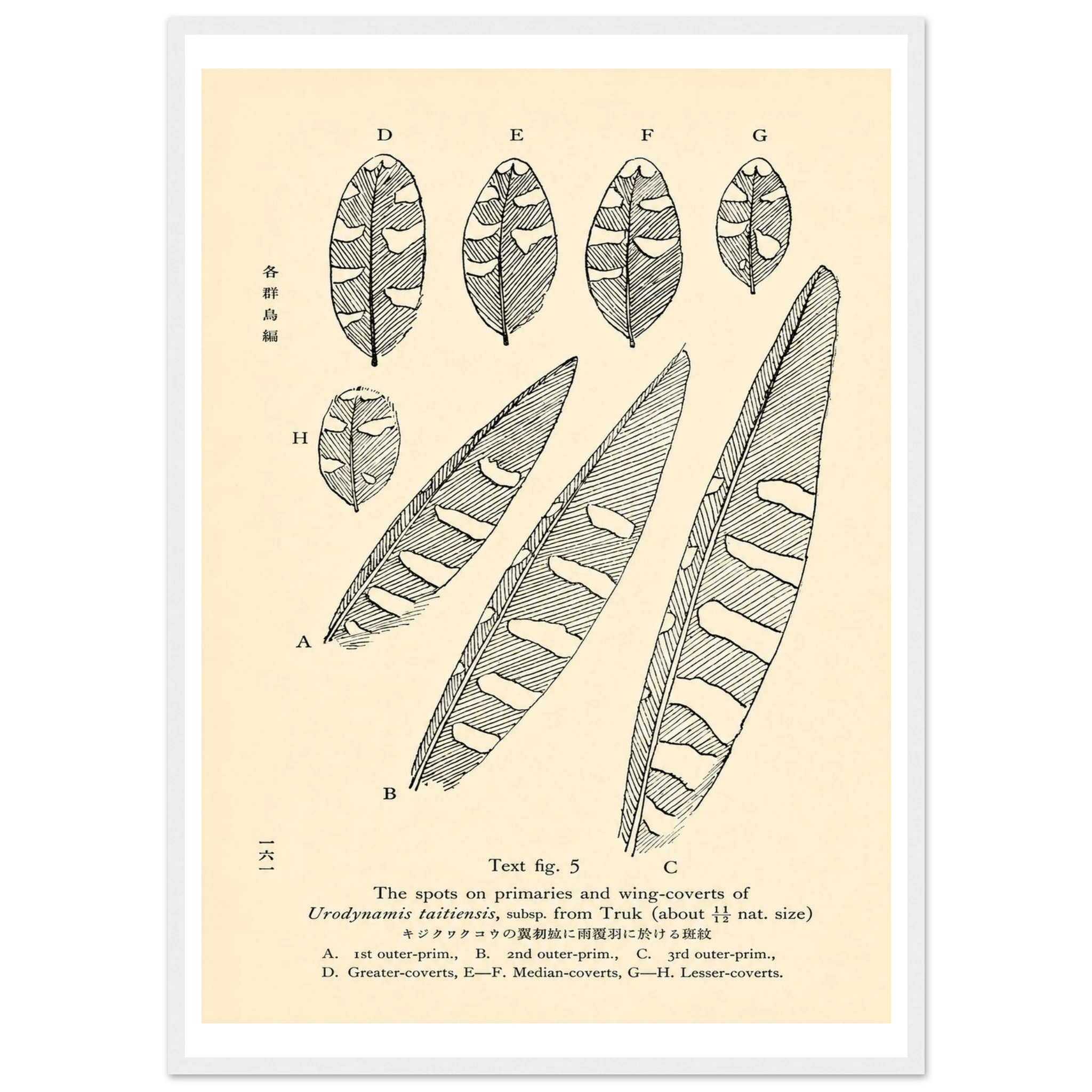 3bb1dfb5-998f-48f9-a511-ea9bd45562cc
