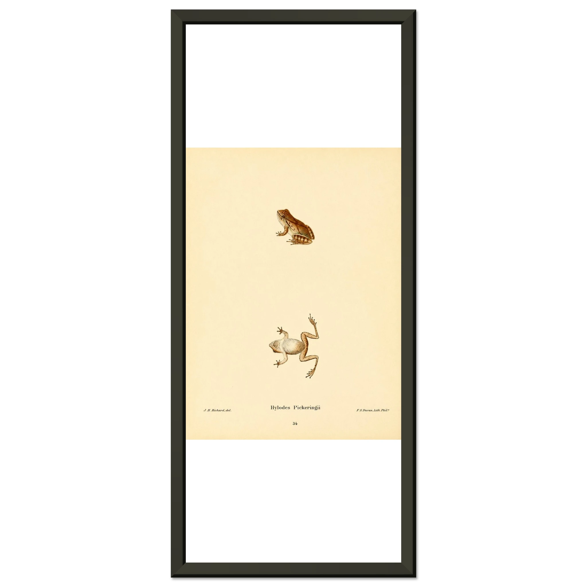 3bd0fb7b-ce2a-466c-8afd-77a3d1a4a2d1