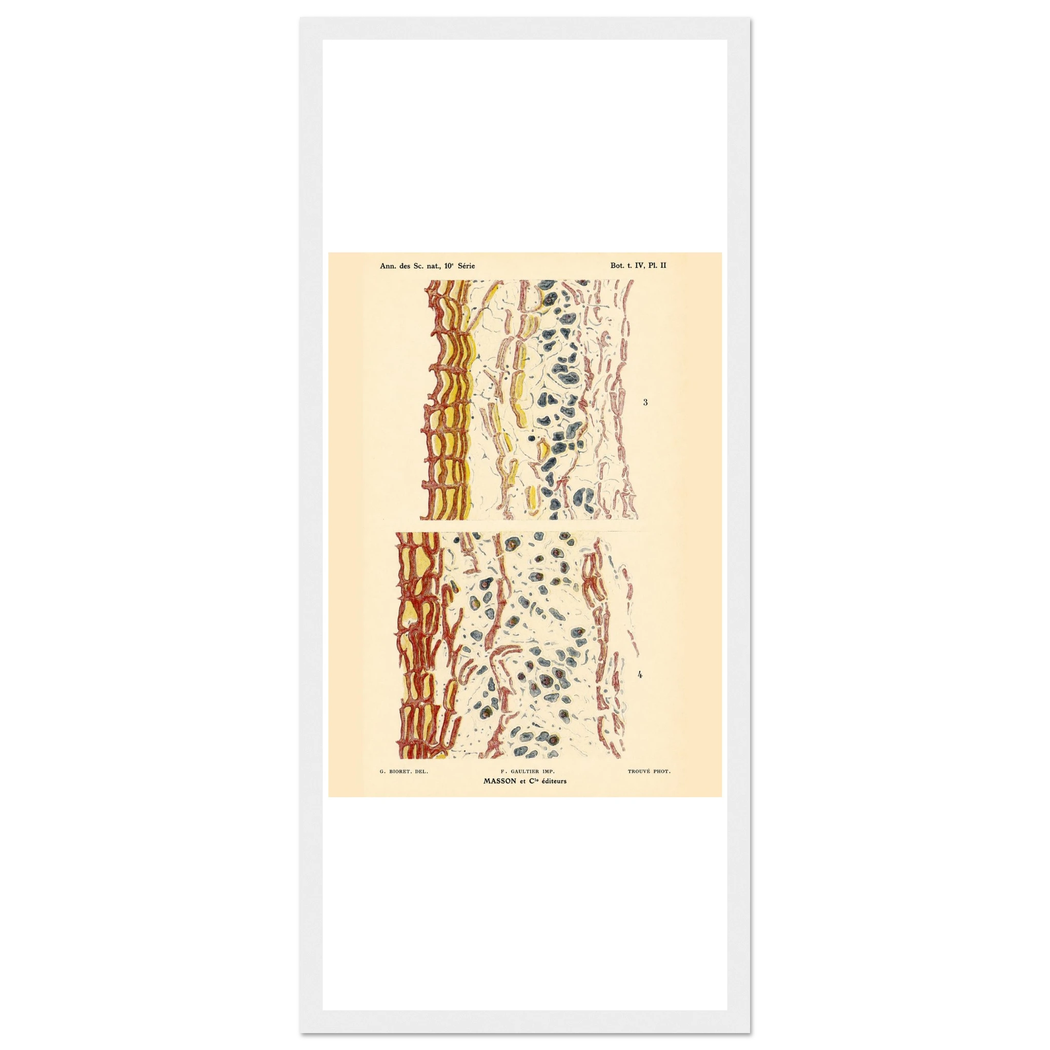 3be70a24-ad44-42cb-a72c-fdd6202e908f
